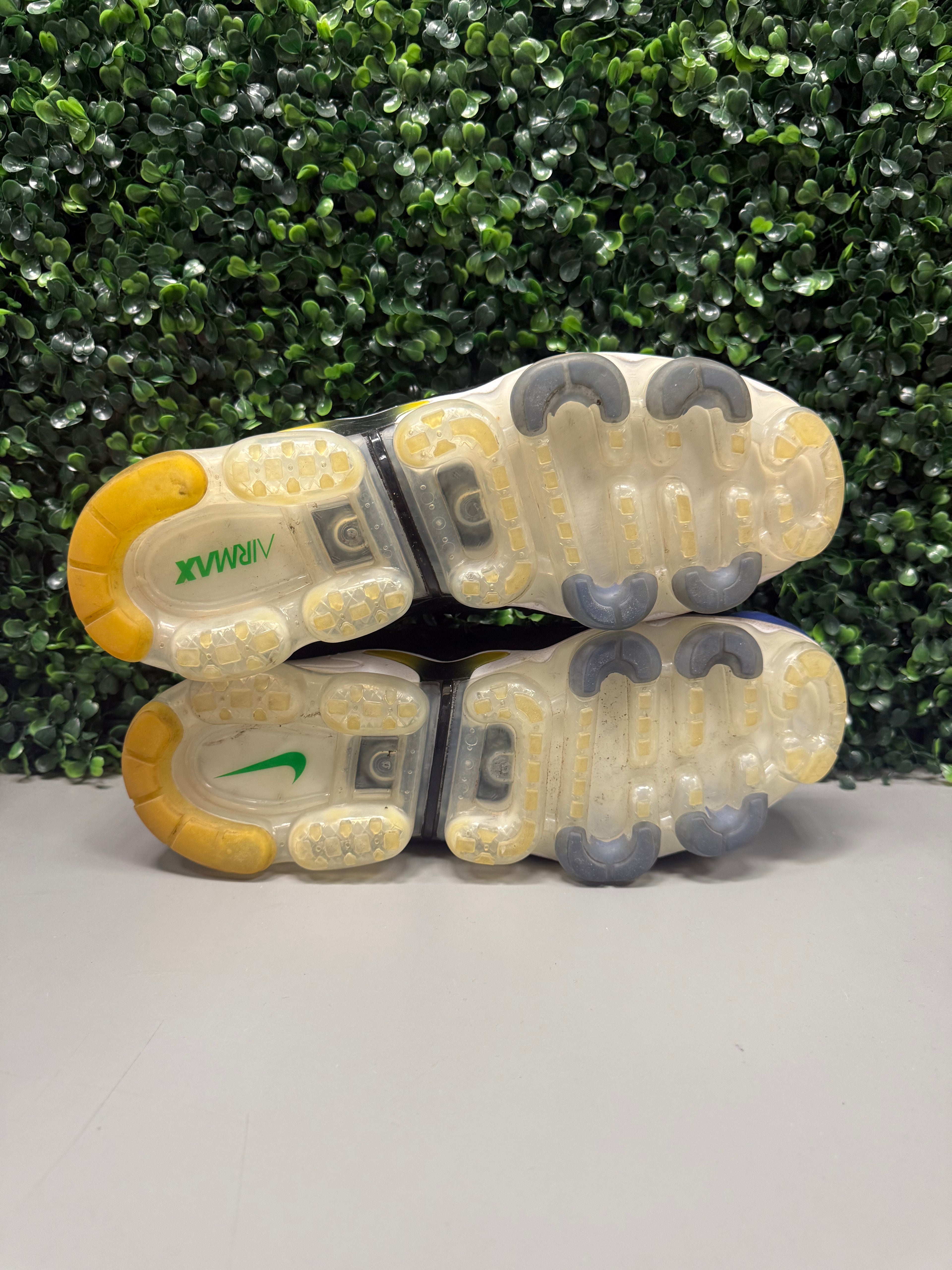 Nike Air VaporMax Plus “LTPT”  Size 12 Preowned