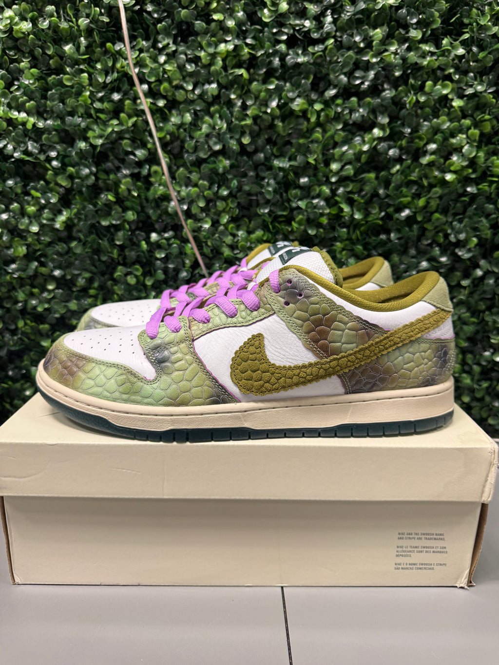 Nike SB Dunk Low "Chameleon" Size 13 Preowned