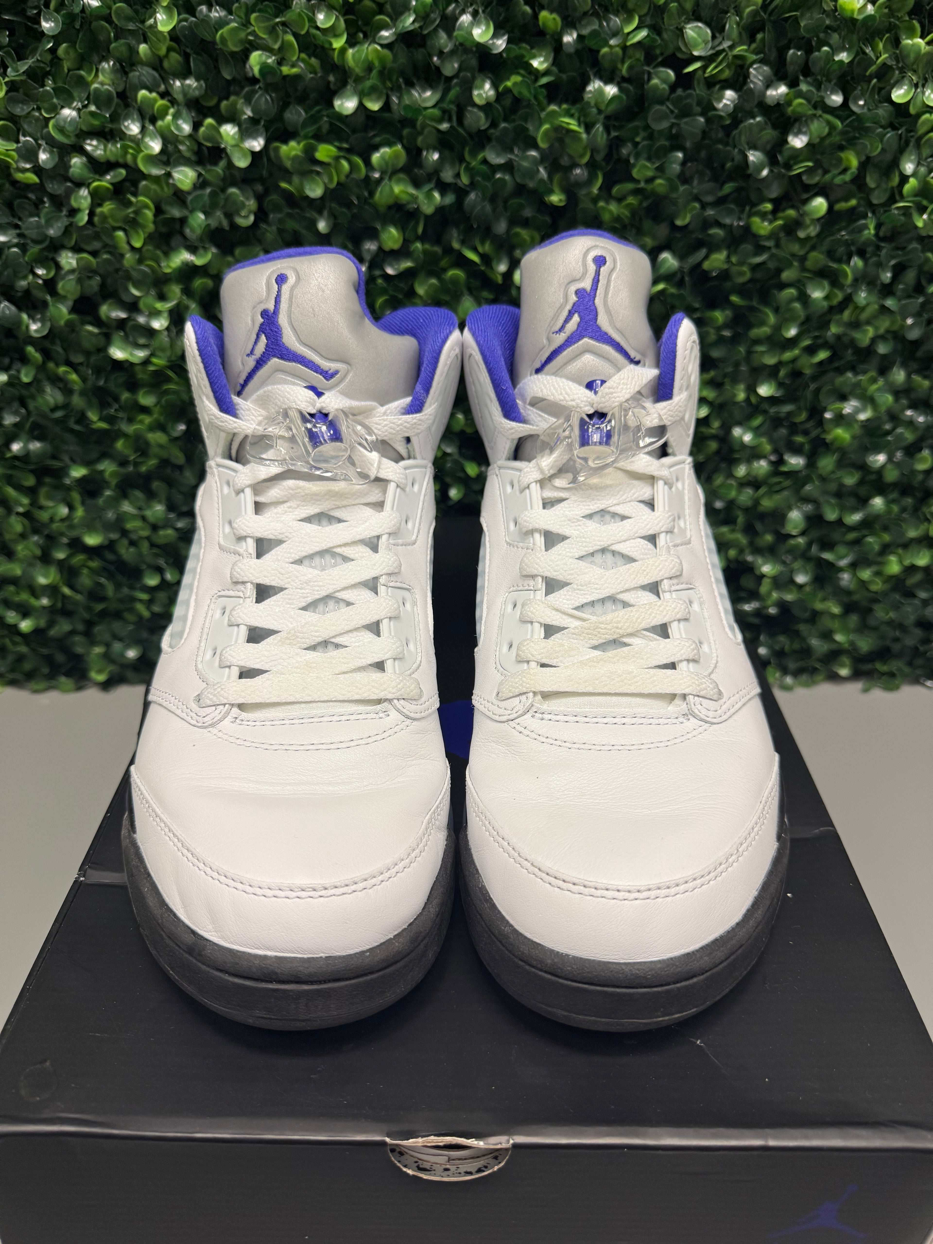 Jordan 5 "Dark Concord" Size 9 Preowned