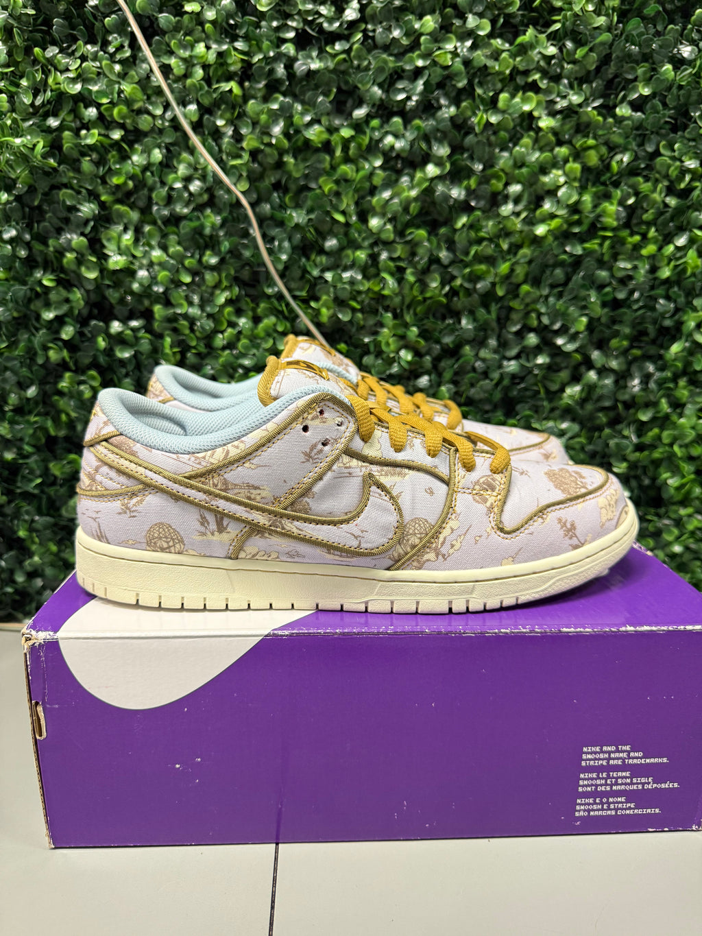 Nike SB Dunk Low "City Of Style" Size 11 Preowned