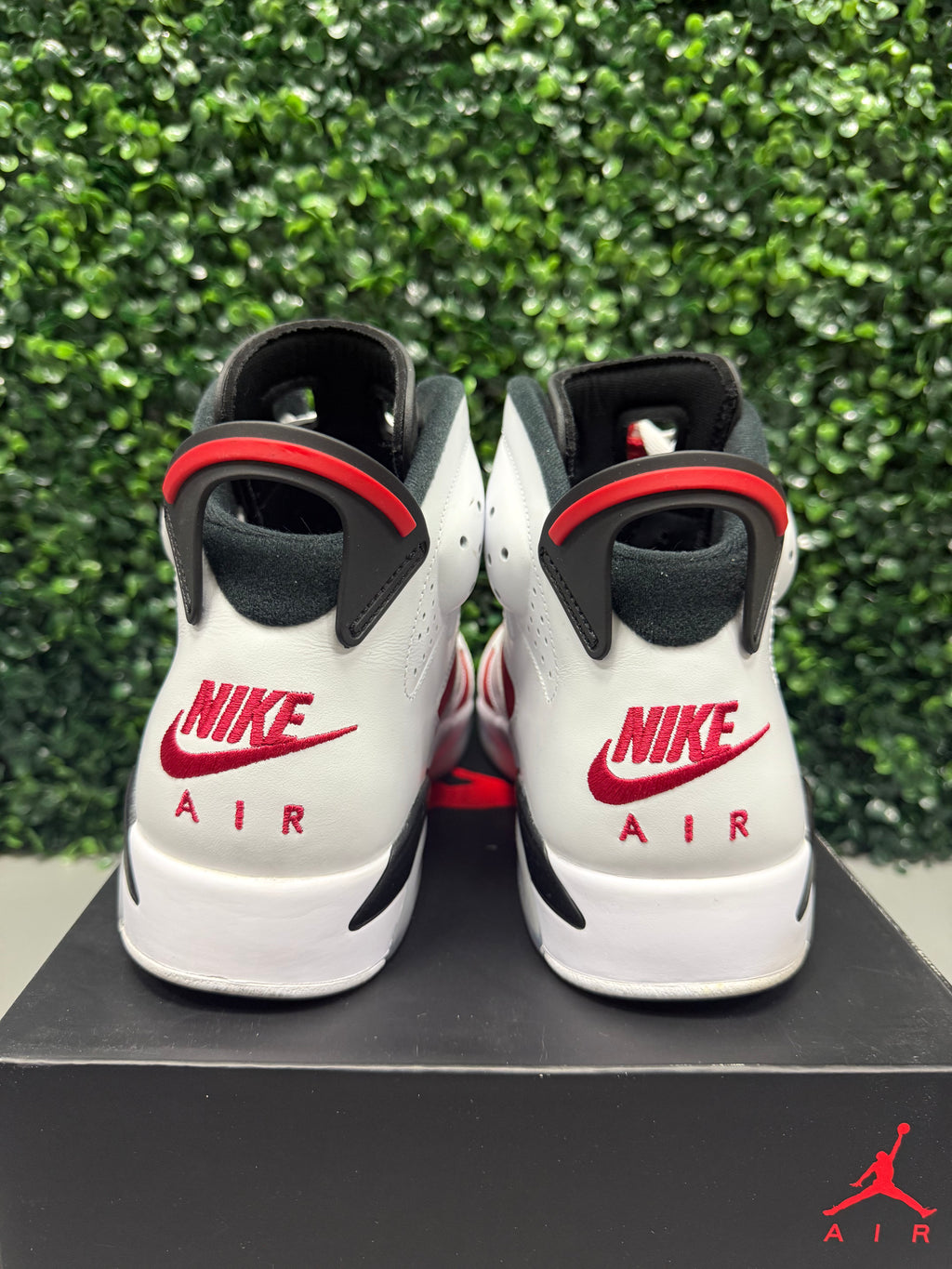 Jordan 6 "Carmine" Size 10.5 Preowned