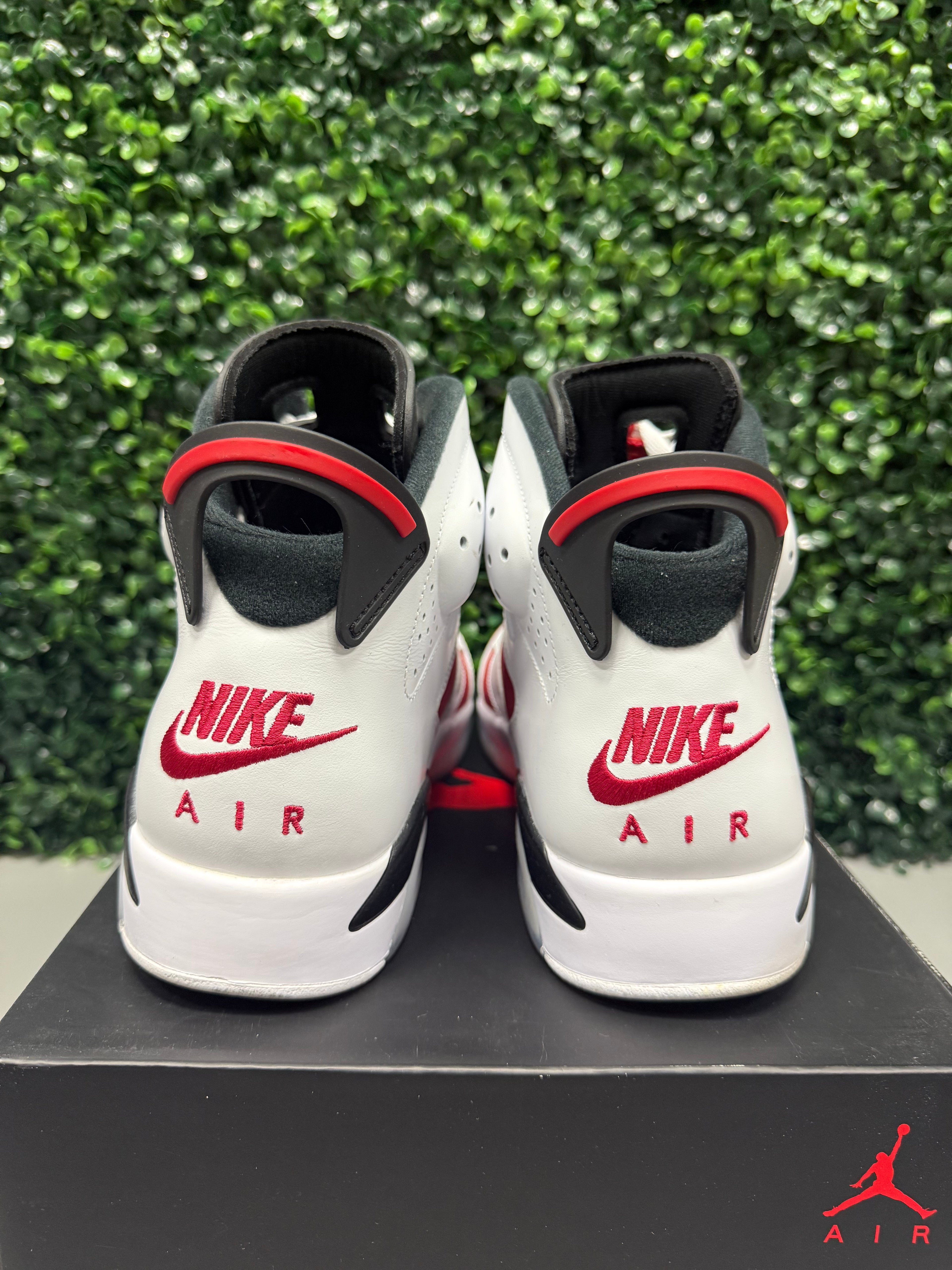 Jordan 6 "Carmine" Size 10.5 Preowned