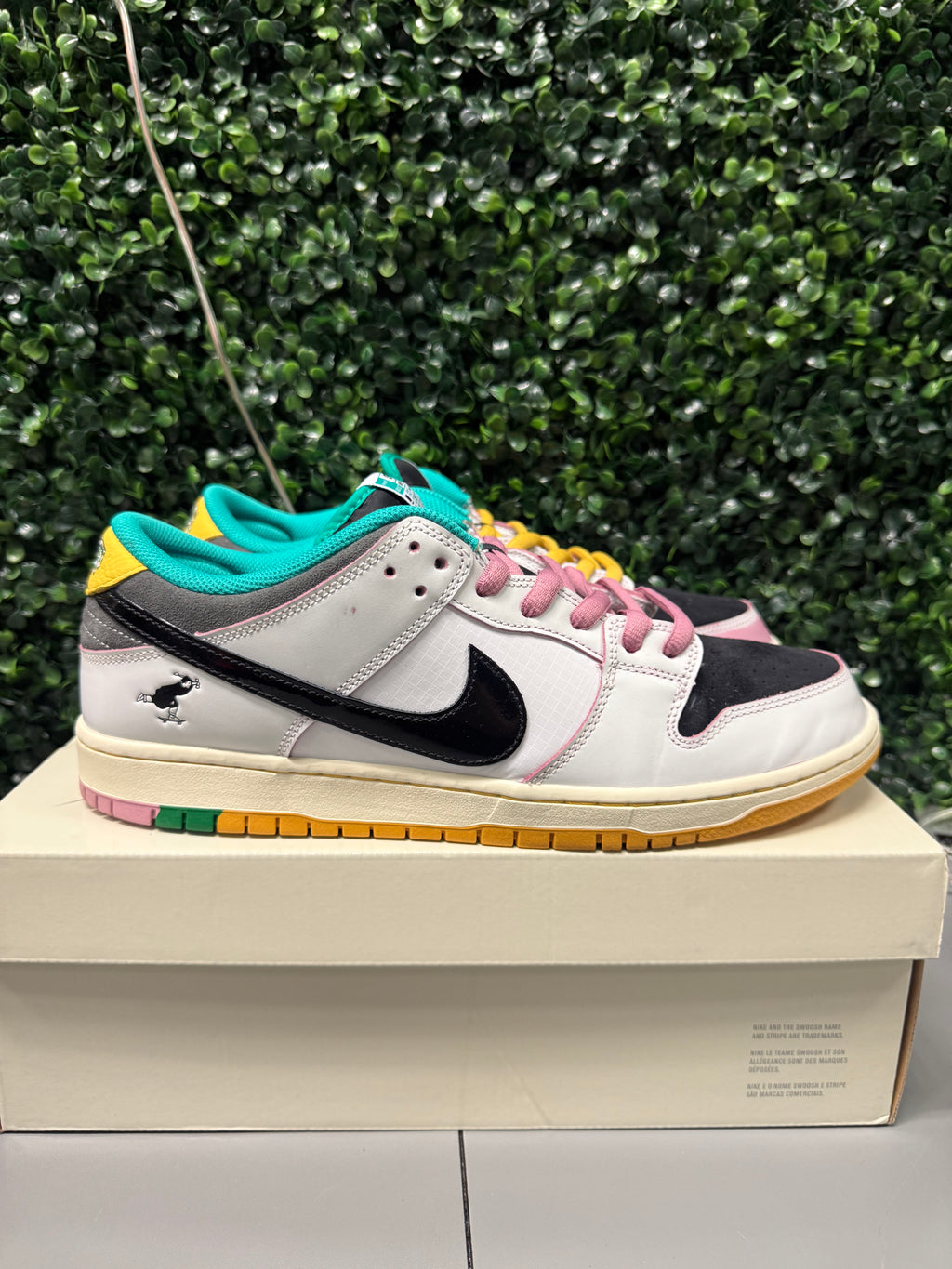 Nike SB Dunk Low "CSEF" Size 13 Preowned
