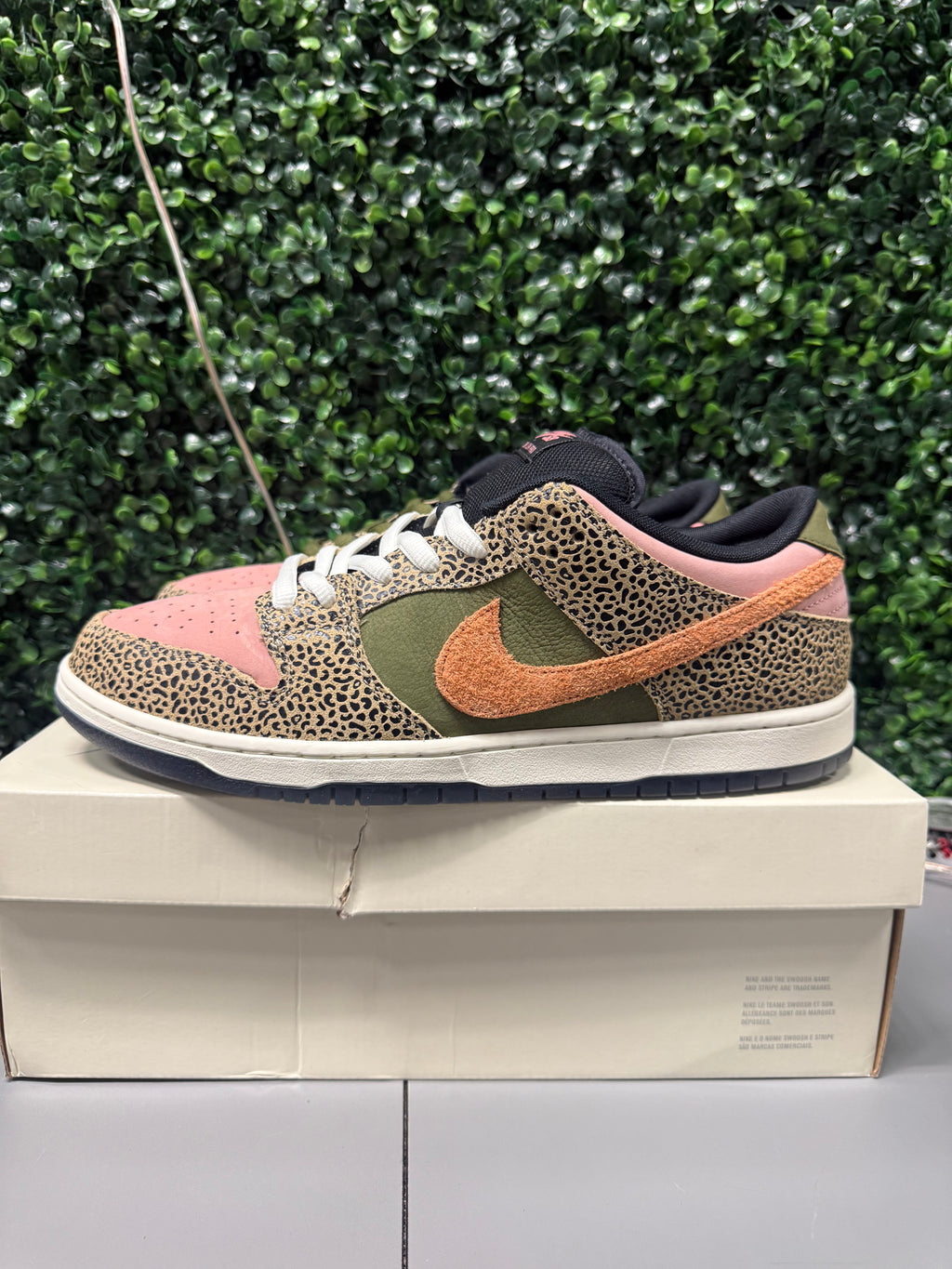 Nike SB Dunk Low "Arts-Rec" Size 13 Preowned