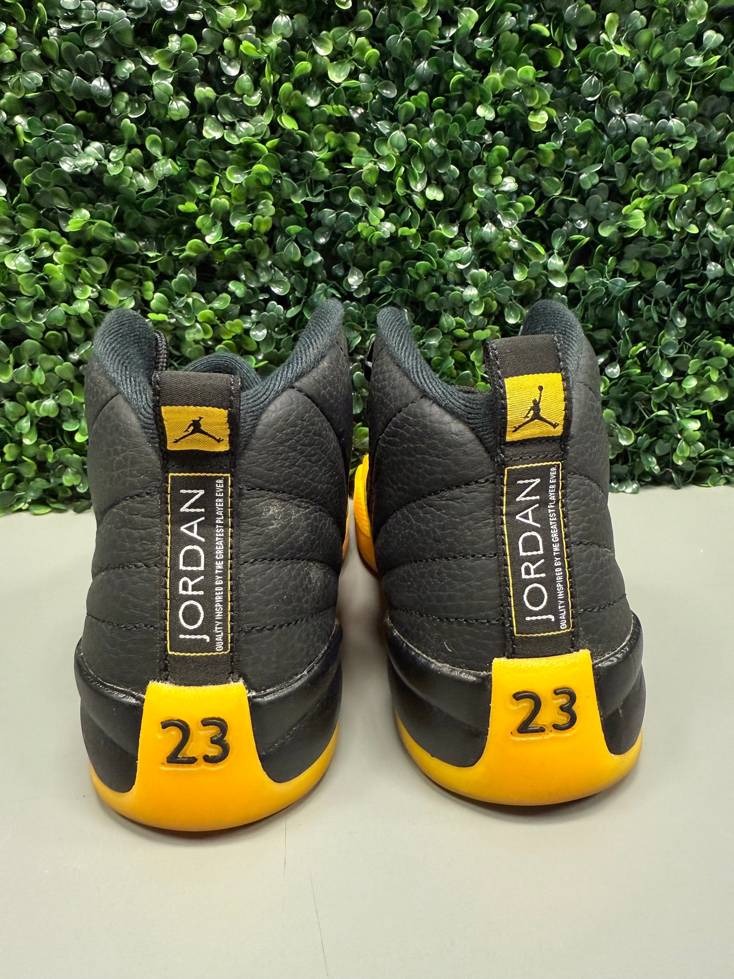 Jordan 12 "Black University Gold" Size 6.5Y Preowned