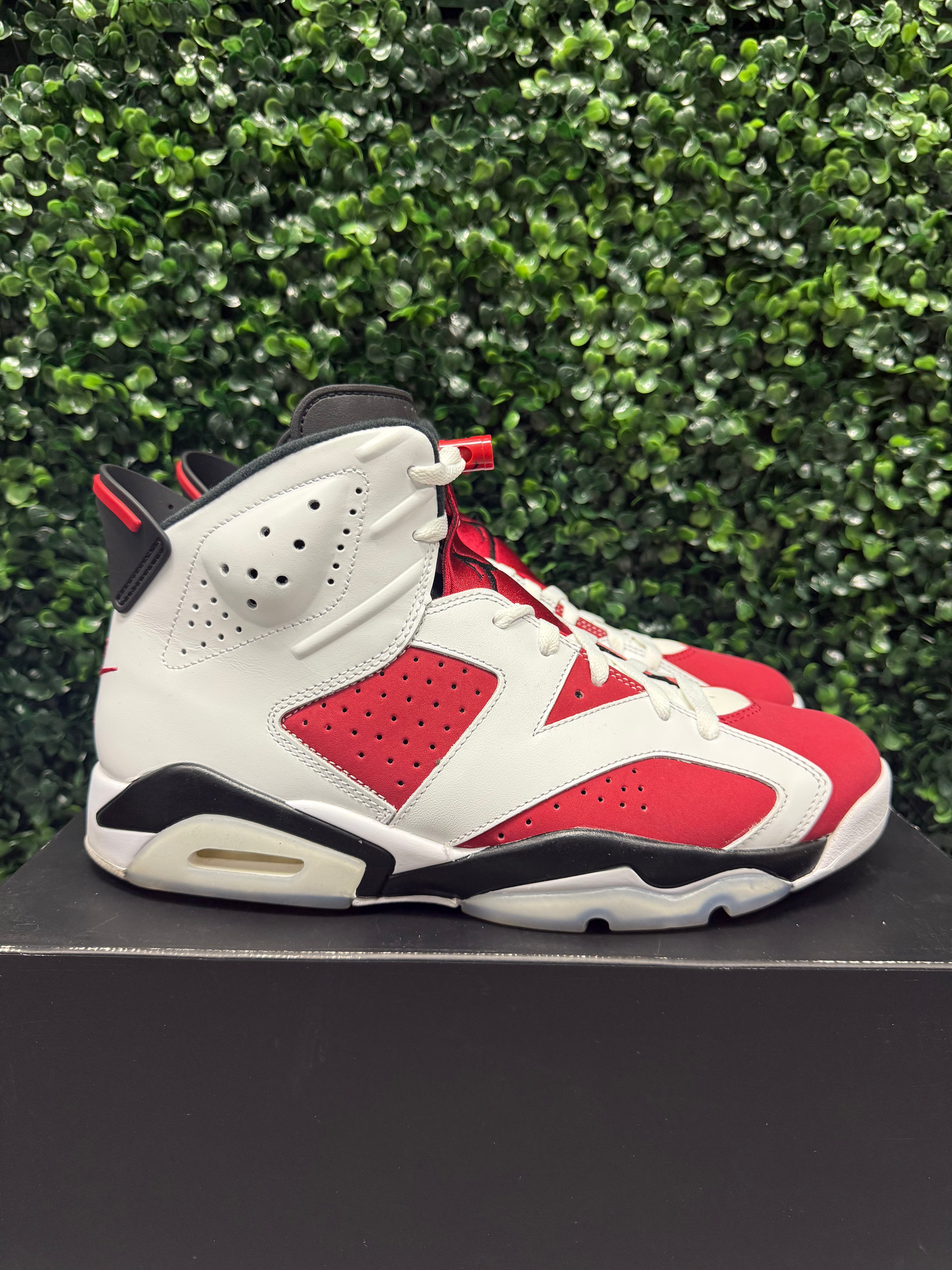 Jordan 6 "Carmine" Size 10.5 Preowned