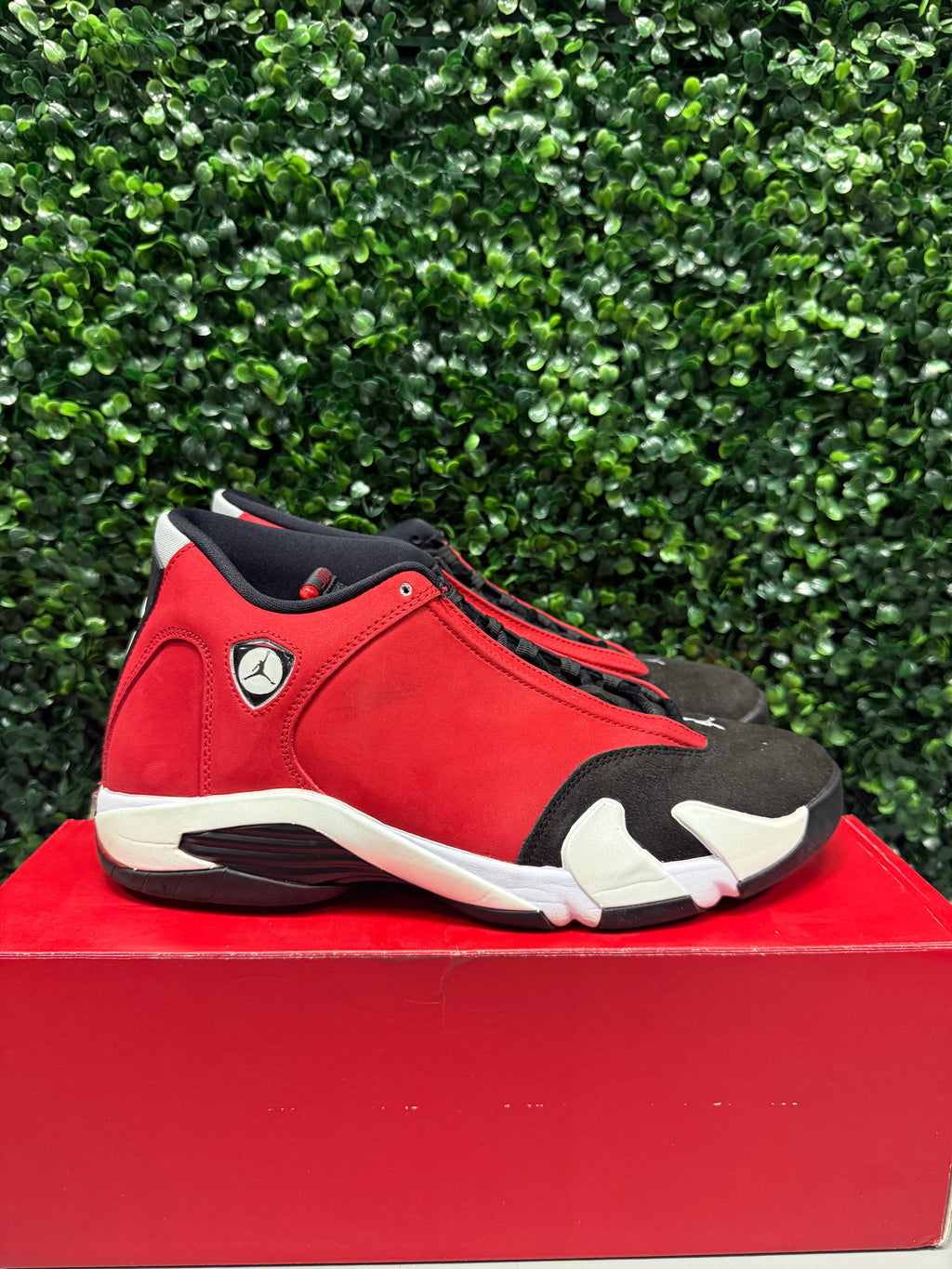Jordan 14 "Gym Red Toro" Size 10.5 Preowned