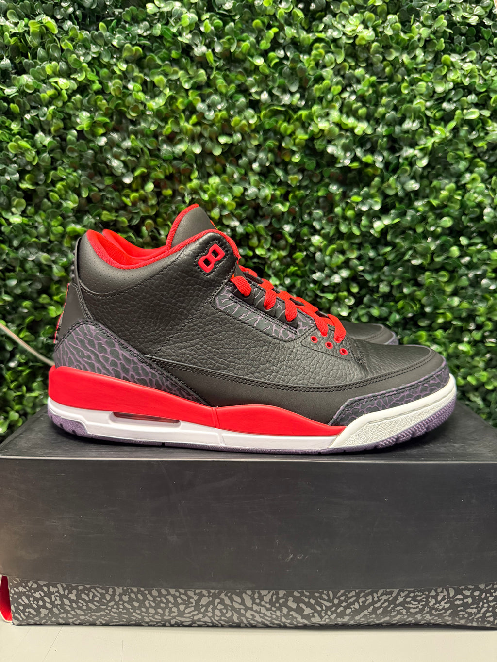 Jordan 3 "Crimson" Size 10 Preowned