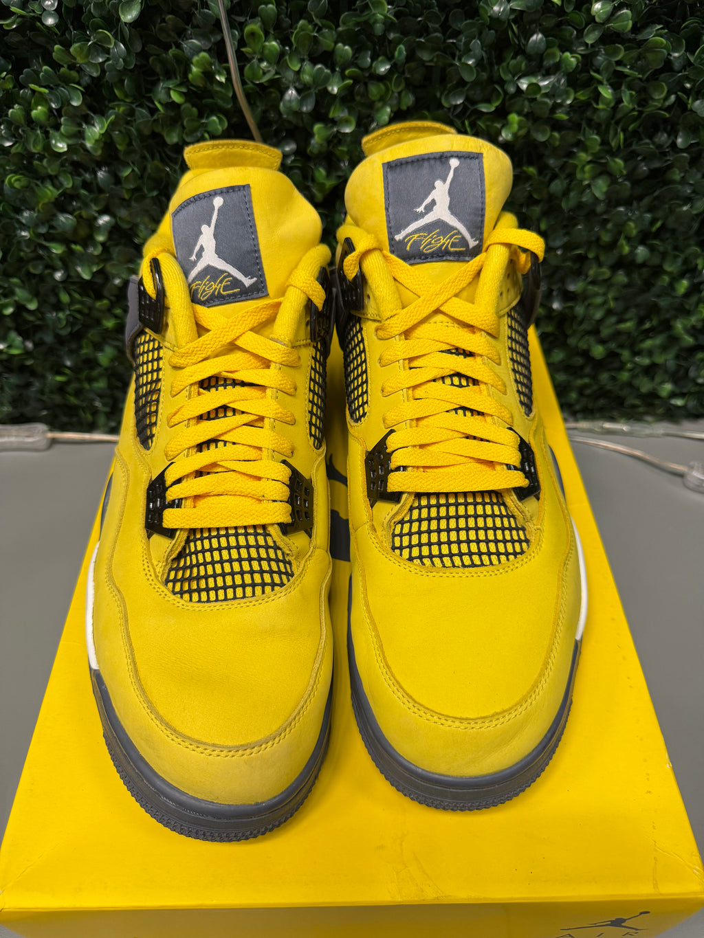 Jordan 4 "Lightning" Size 14 Preowned