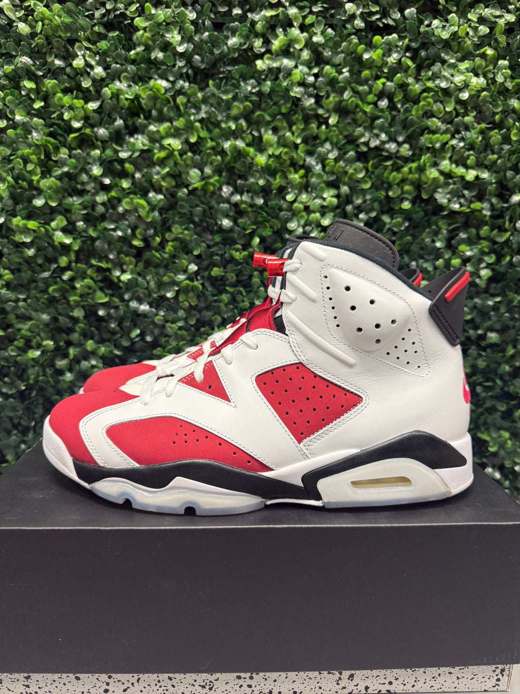 Jordan 6 "Carmine" Size 10.5 Preowned