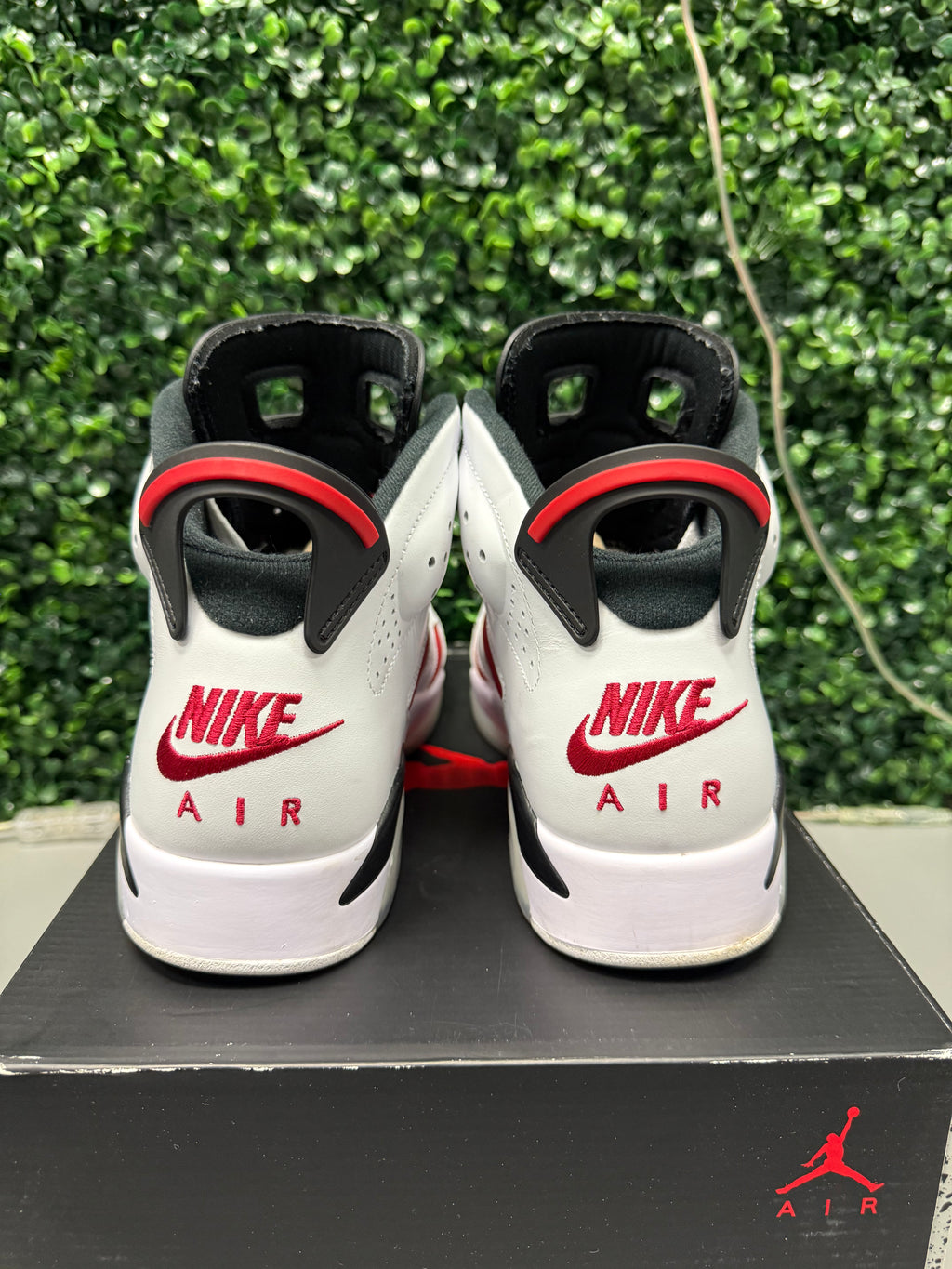 Jordan 6 "Carmine" Size 10 Preowned