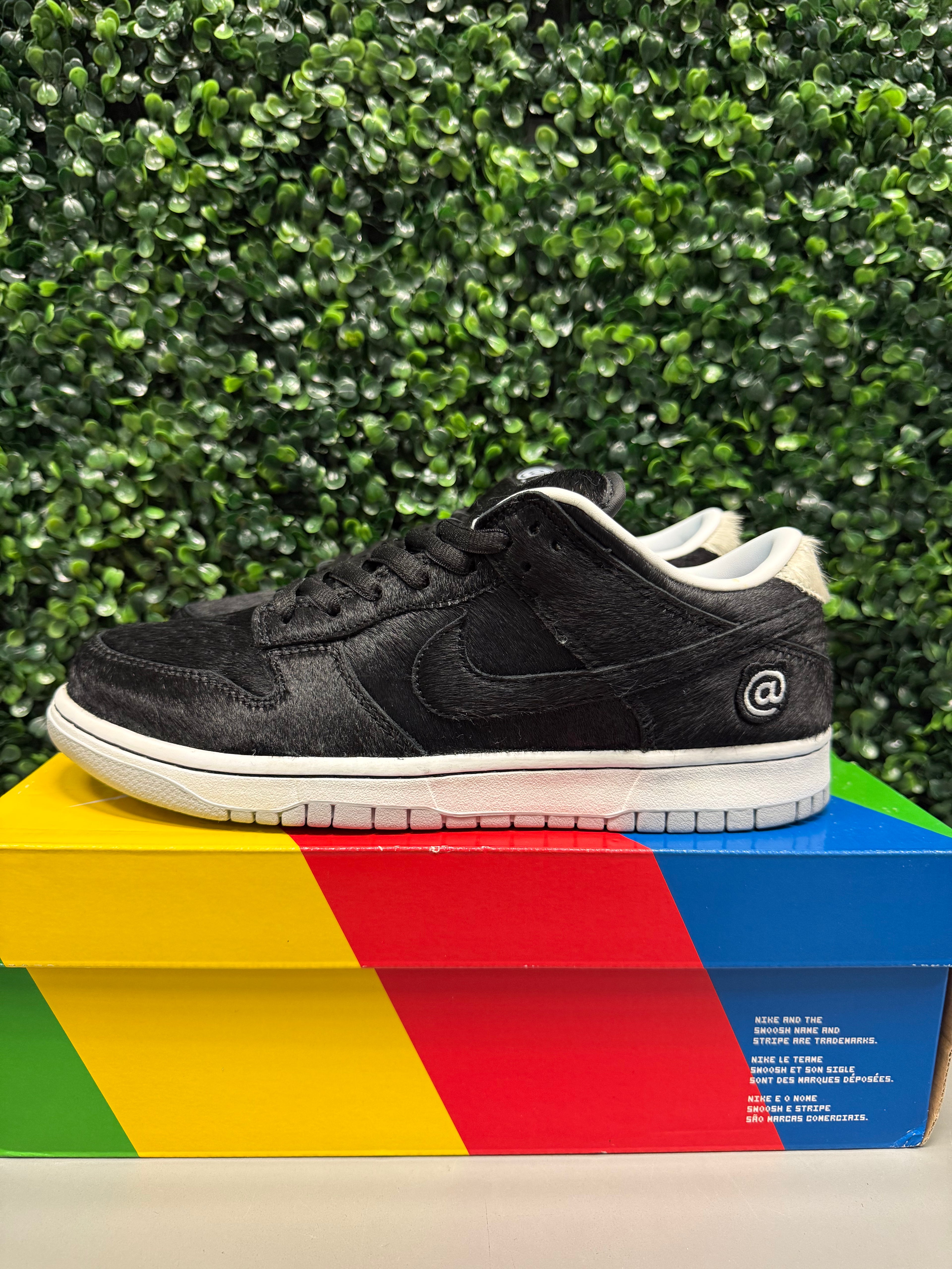 Nike SB Dunk Low "Medicom Toy" Size 10 Preowned