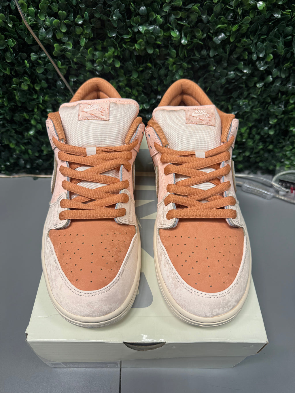 Nike SB Dunk Low "Trocadéro Gardens" Size 13 Preowned