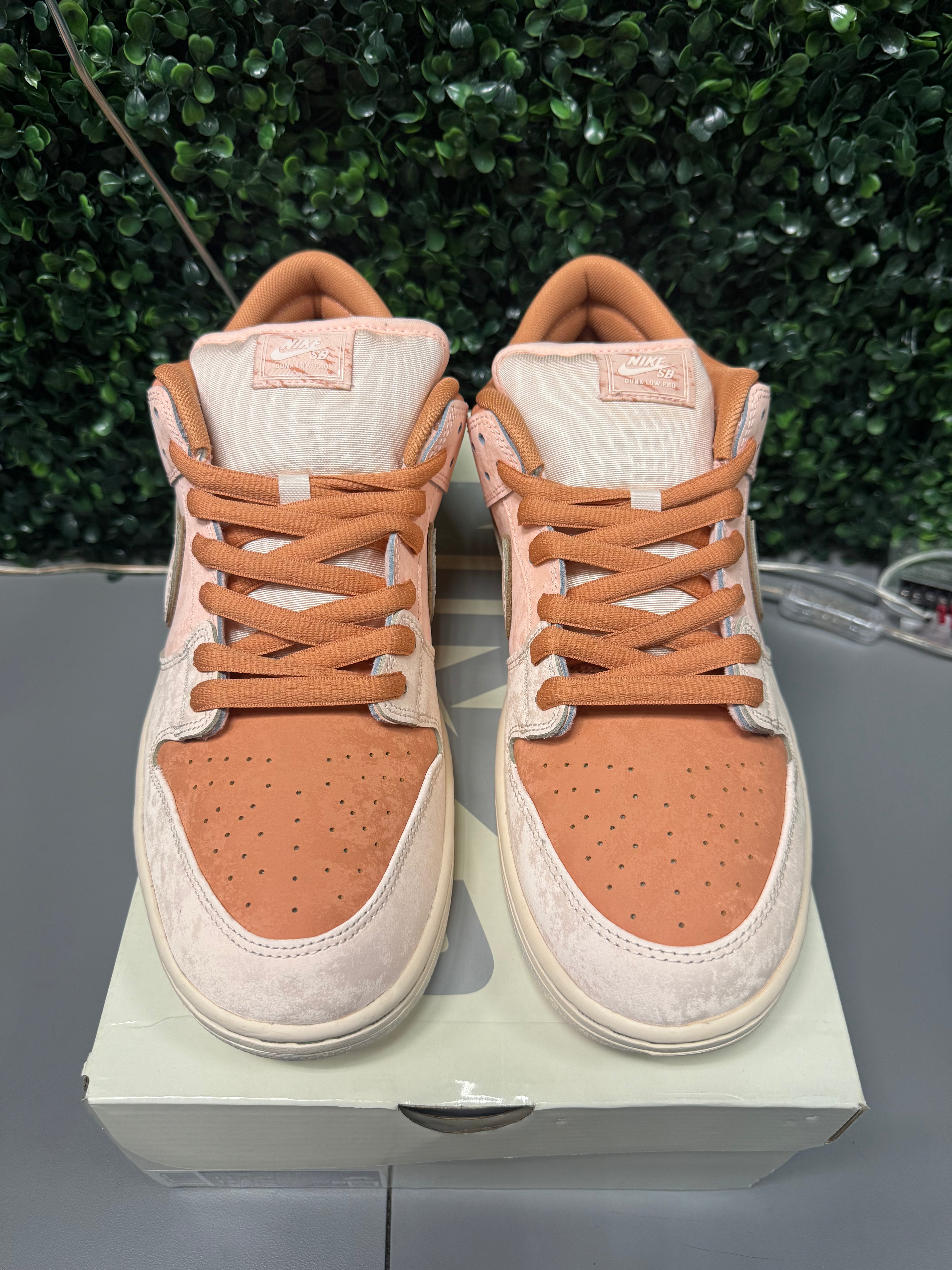 Nike SB Dunk Low "Trocadéro Gardens" Size 13 Preowned