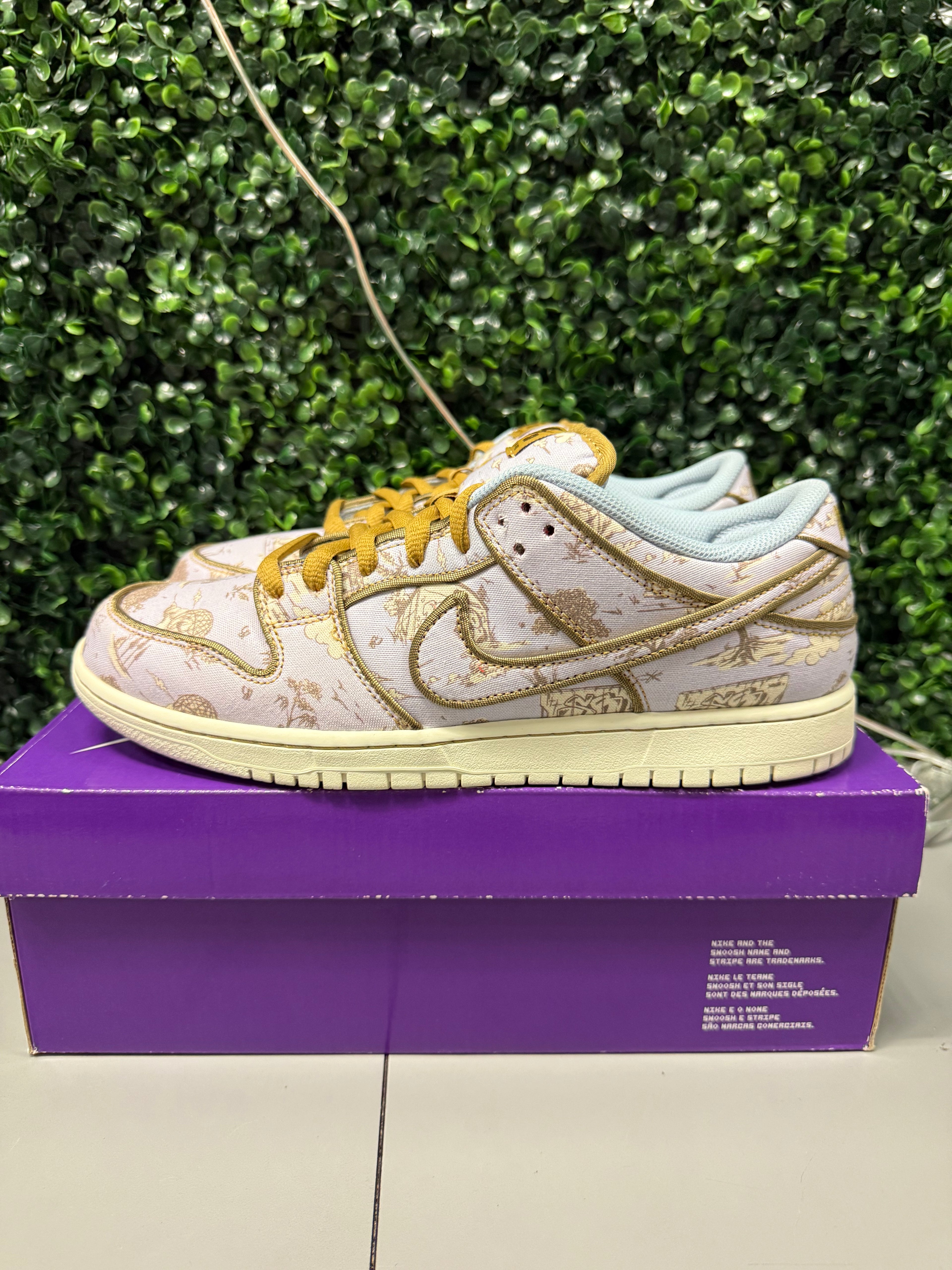 Nike SB Dunk Low "City Of Style" Size 11 Preowned
