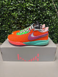 Nike LeBron 20 "Chosen 1" Size 7y Preowned
