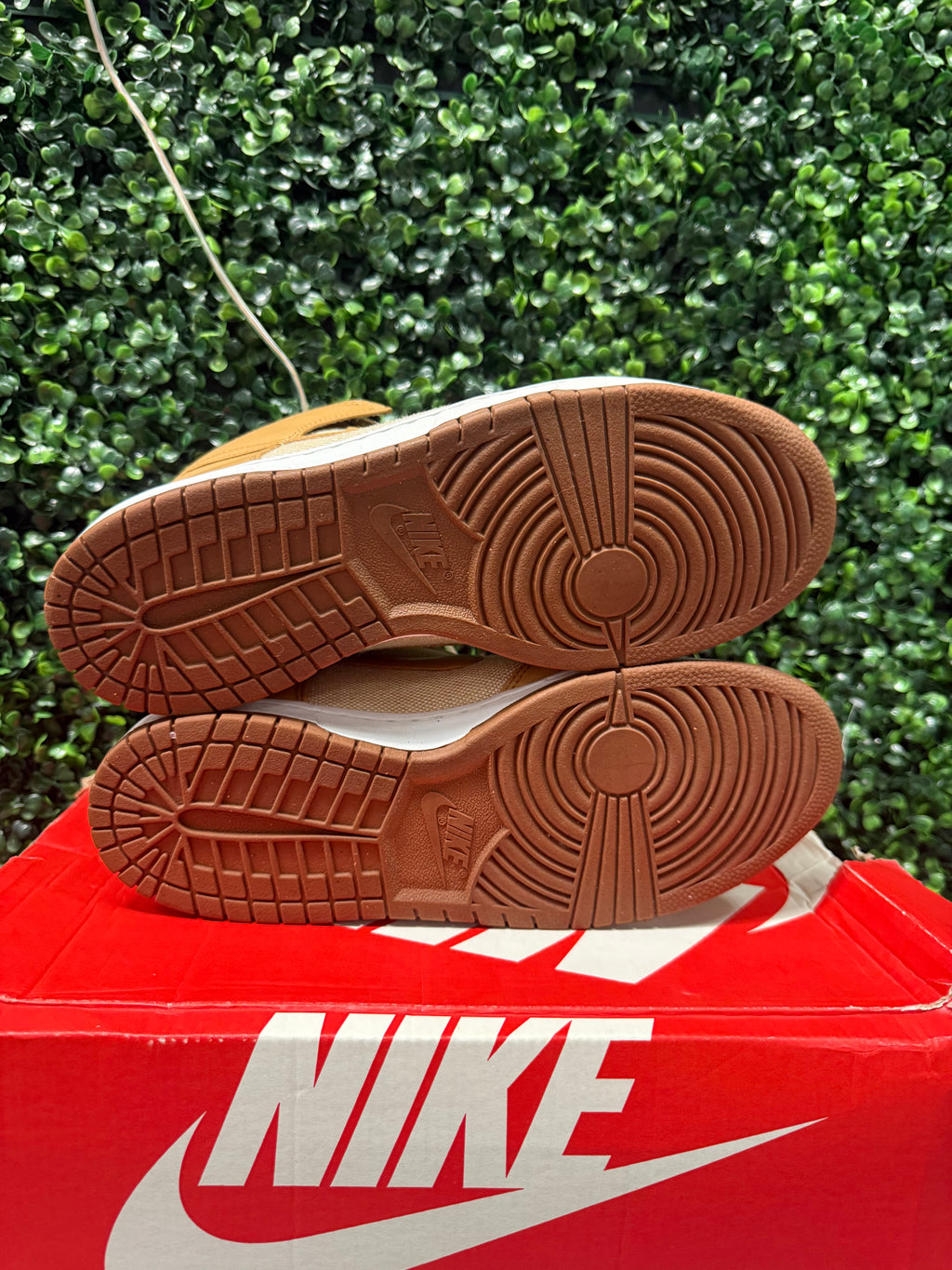 Nike Dunk High "Acorn" Size 10 Preowned