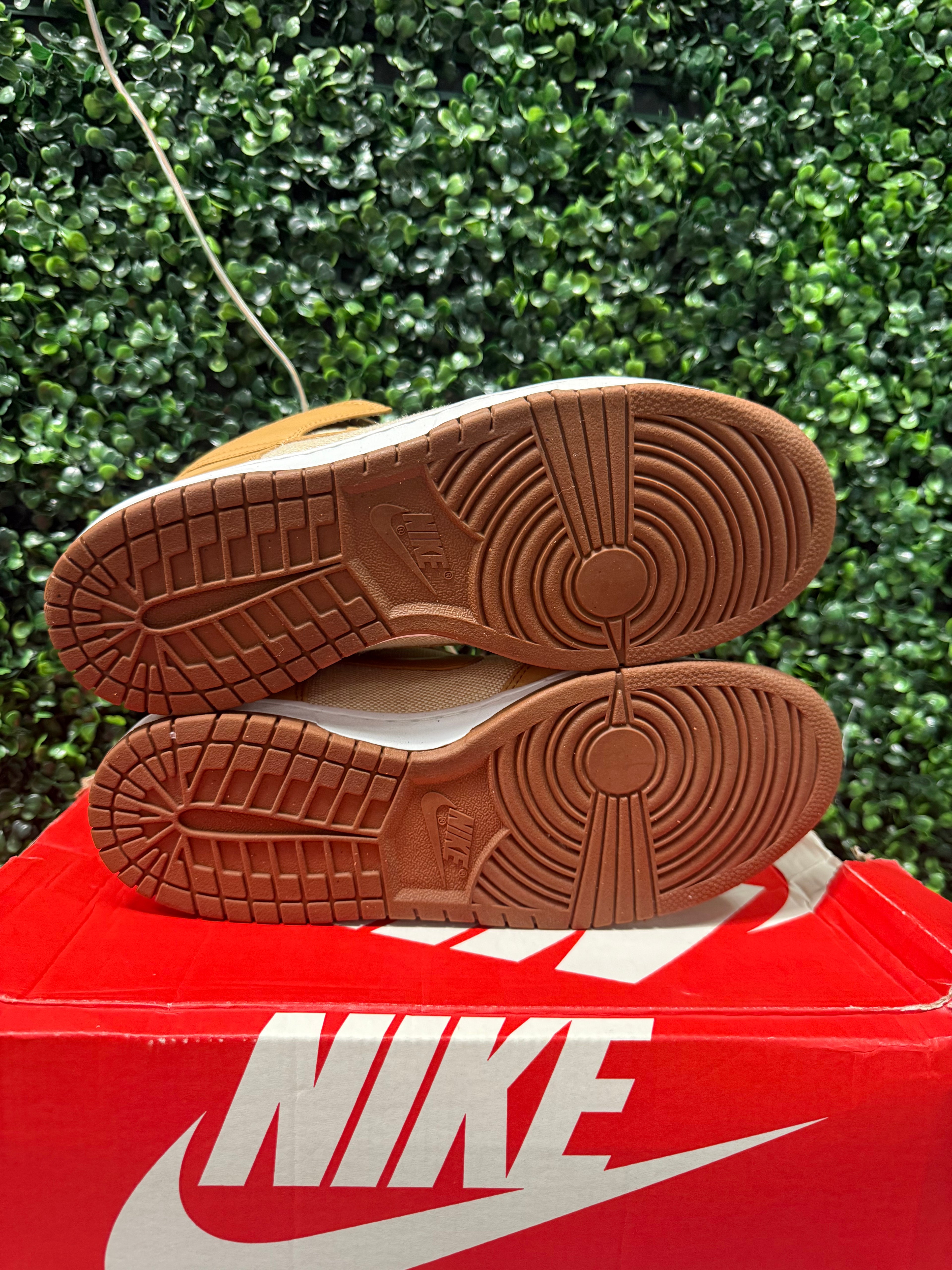 Nike Dunk High "Acorn" Size 10 Preowned