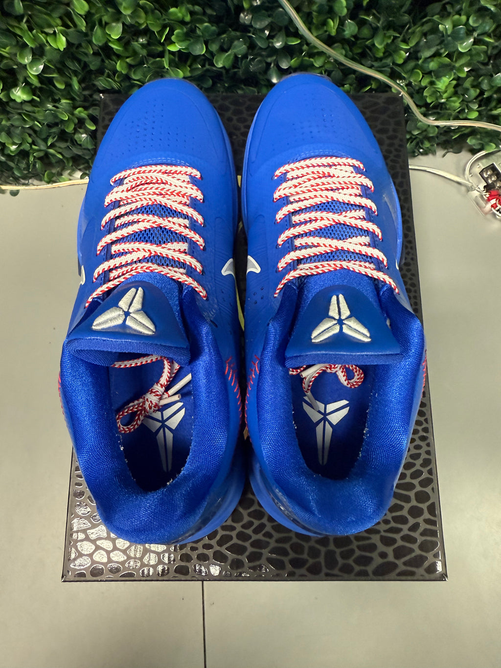 Nike Kobe 5 Protro "Dodgers" Size 9.5 Preowned