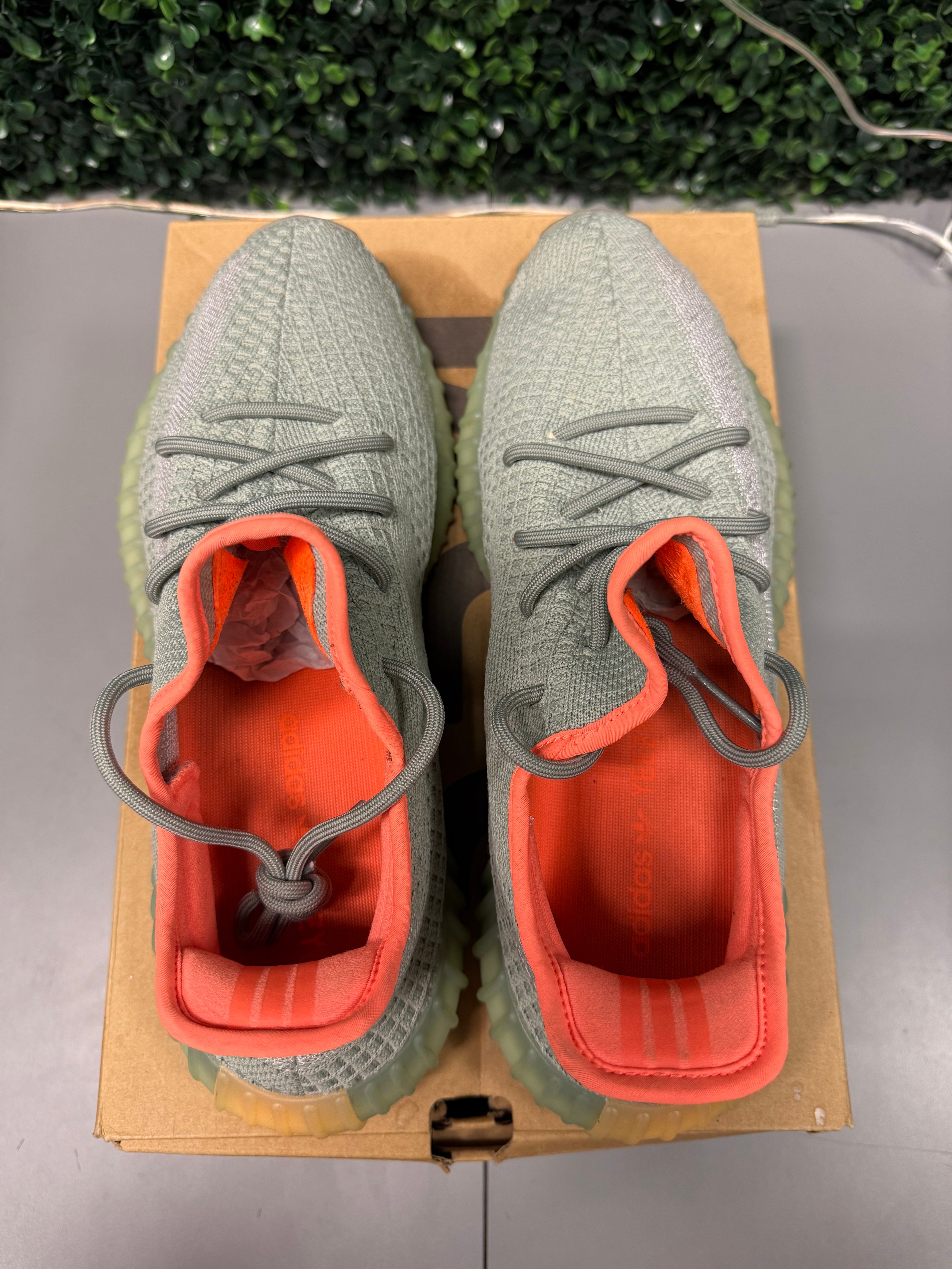 Yeezy 350 V2 "Desert Sage" Size 12.5 Preowned