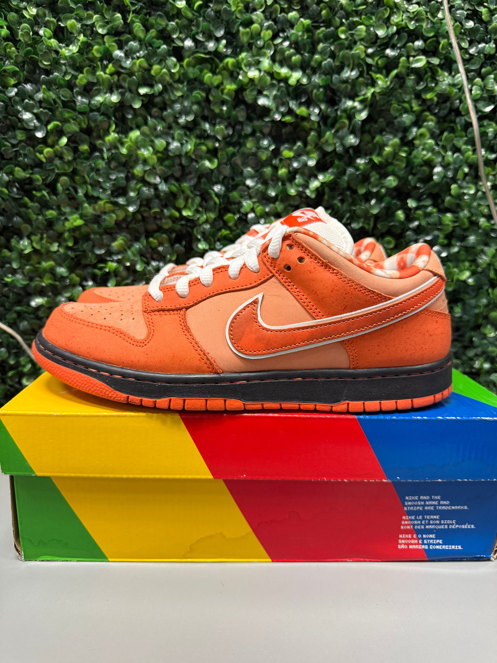 Nike SB Dunk Low "Orange Lobster" Size 9 Preowned