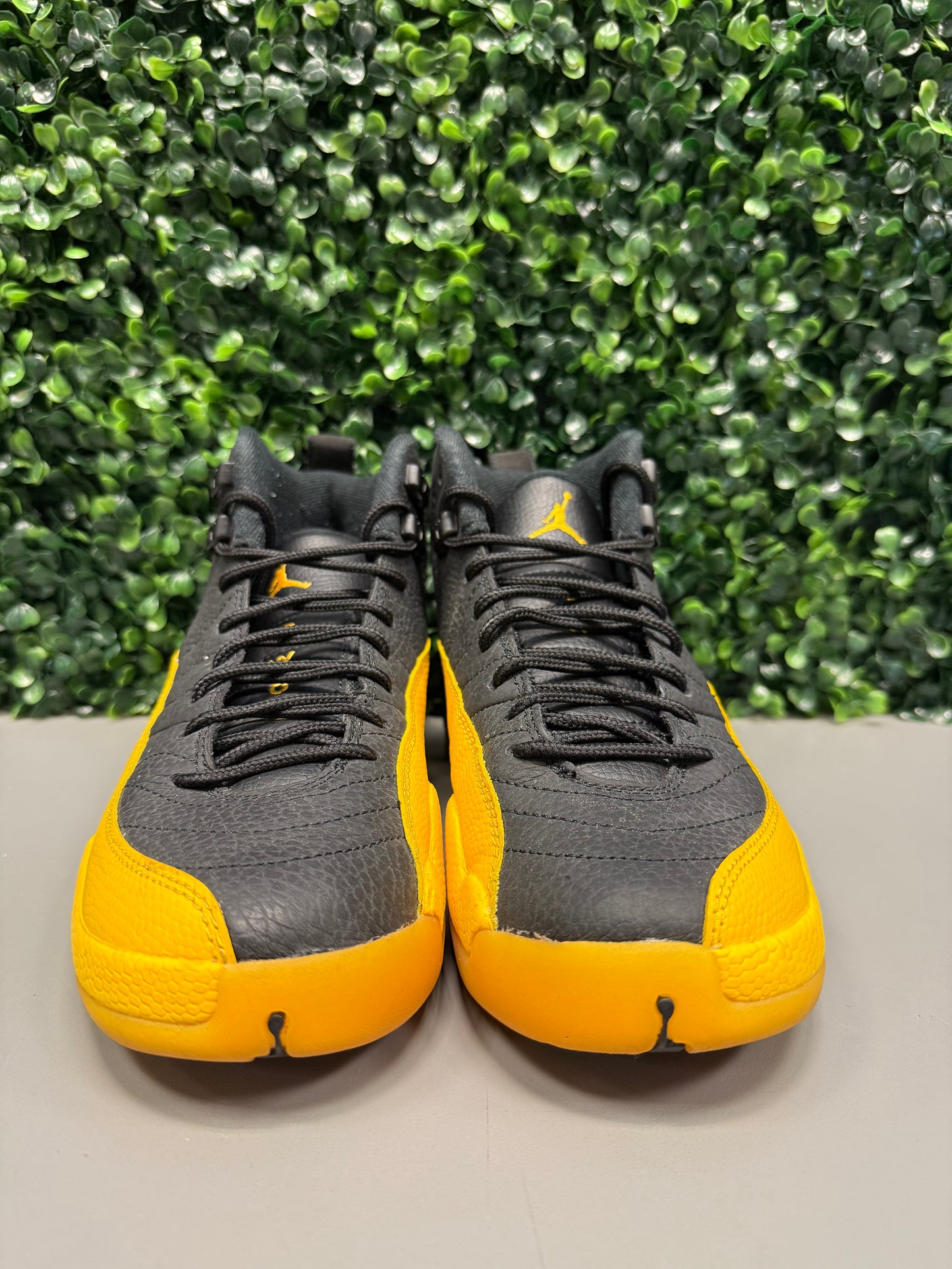 Jordan 12 "Black University Gold" Size 6.5Y Preowned