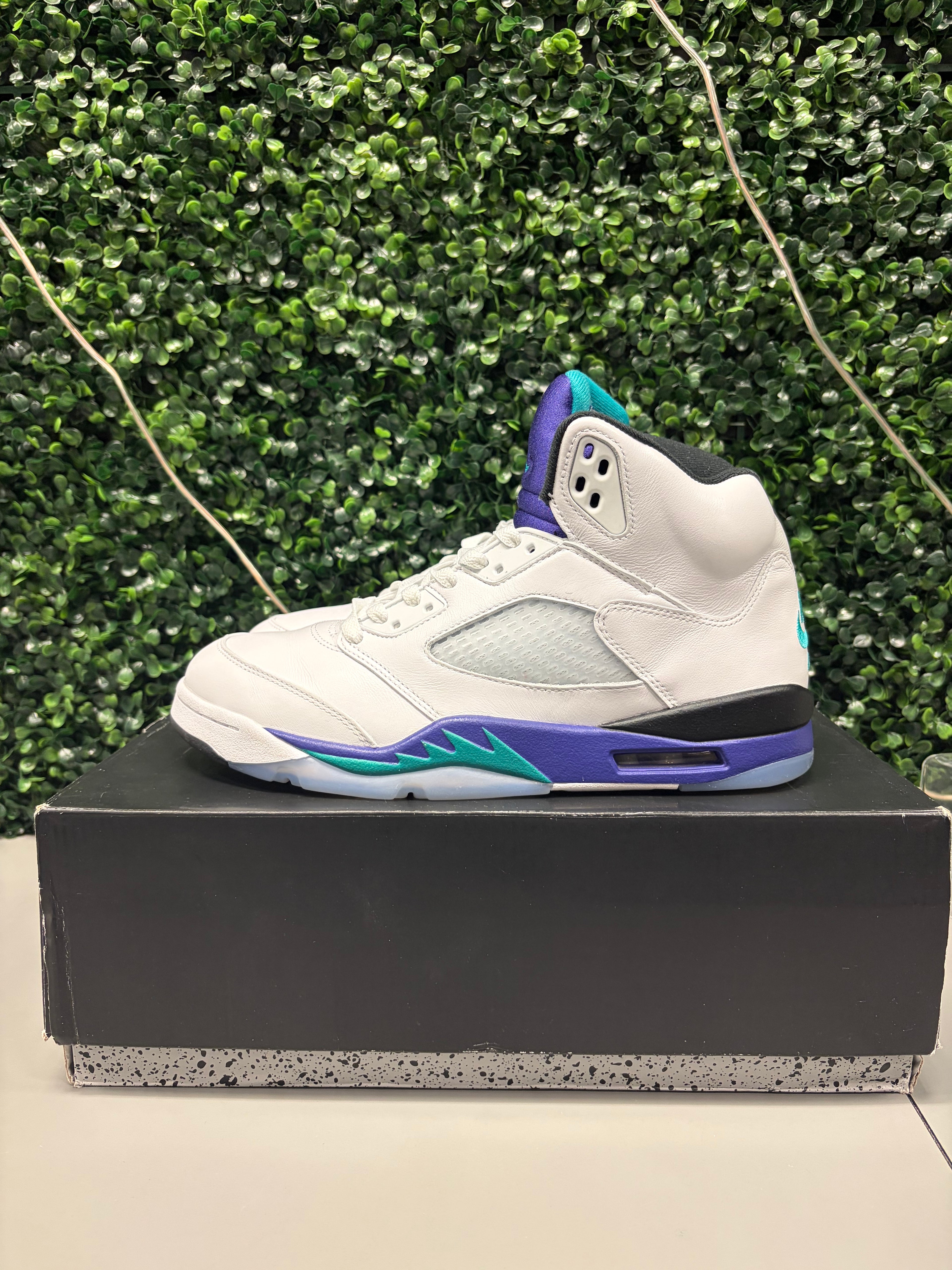 Jordan 5 Retro "Grape" Size 10.5 Preowned