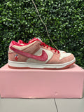 Nike SB Dunk Low "Strange Love" (Special Box) Size 11 Preowned