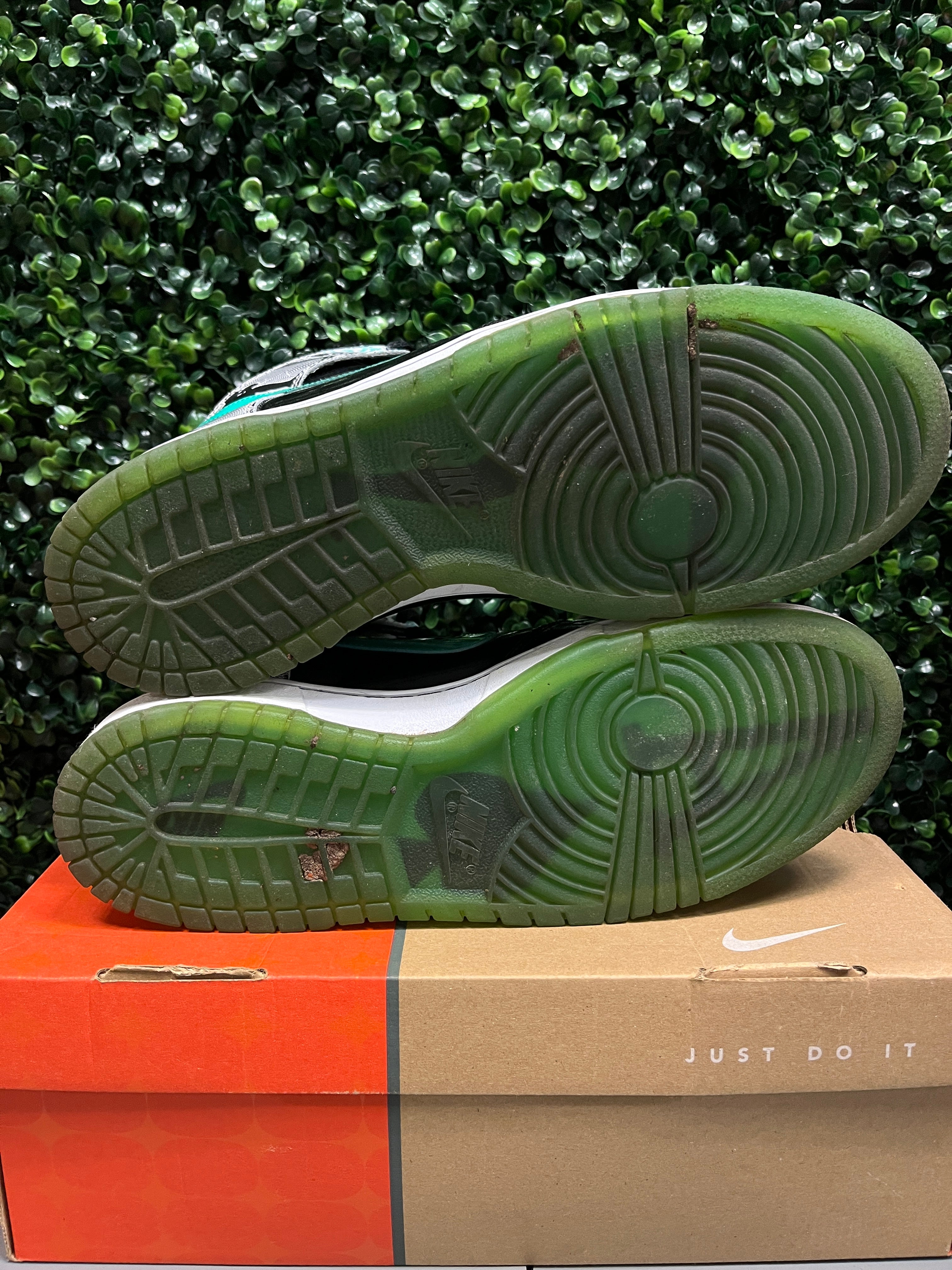 Nike SB Dunk High "Dontrelle Willis" Size 10.5 Preowned