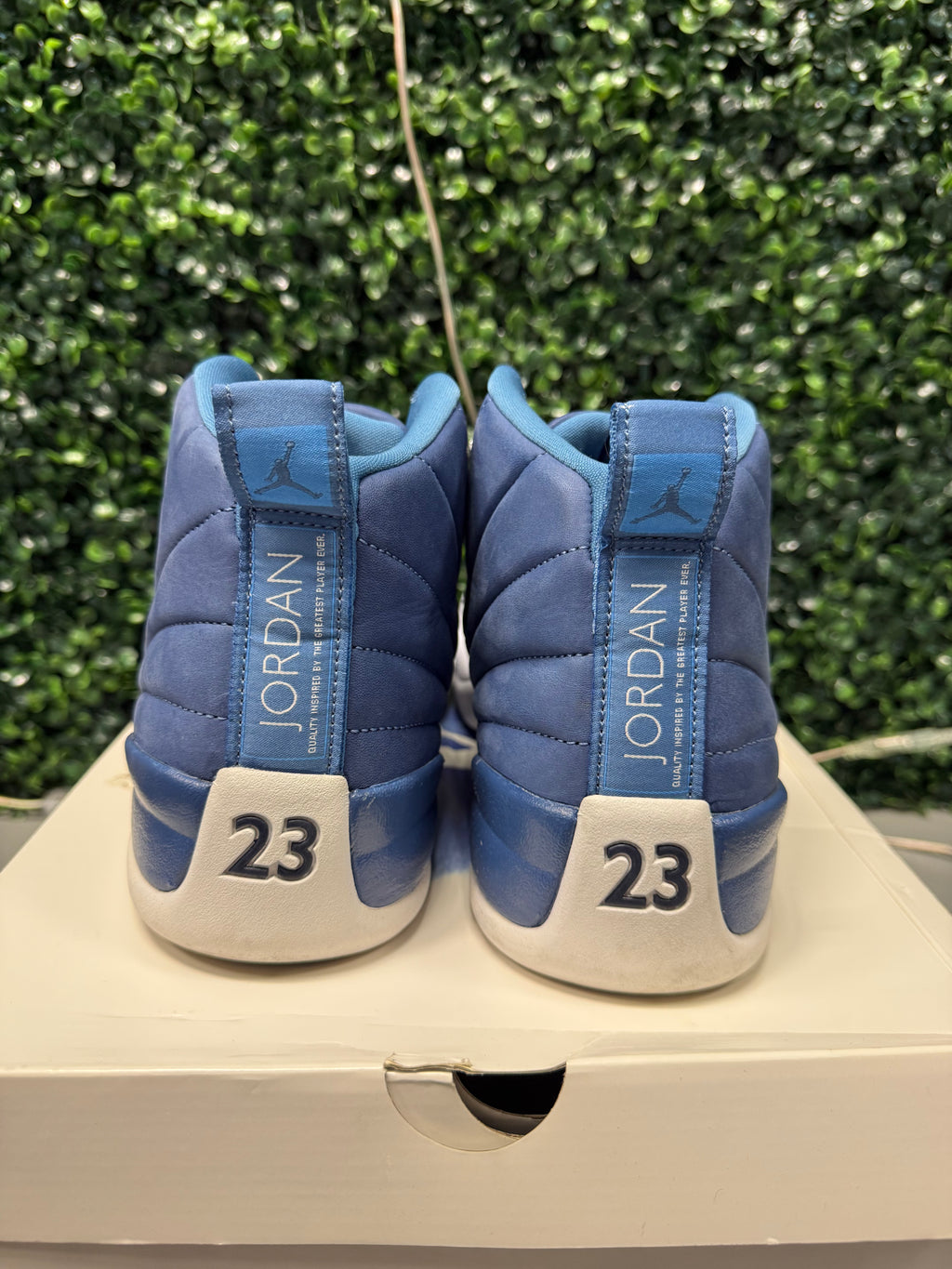 Jordan 12 Retro "Indigo" Size 13 Preowned