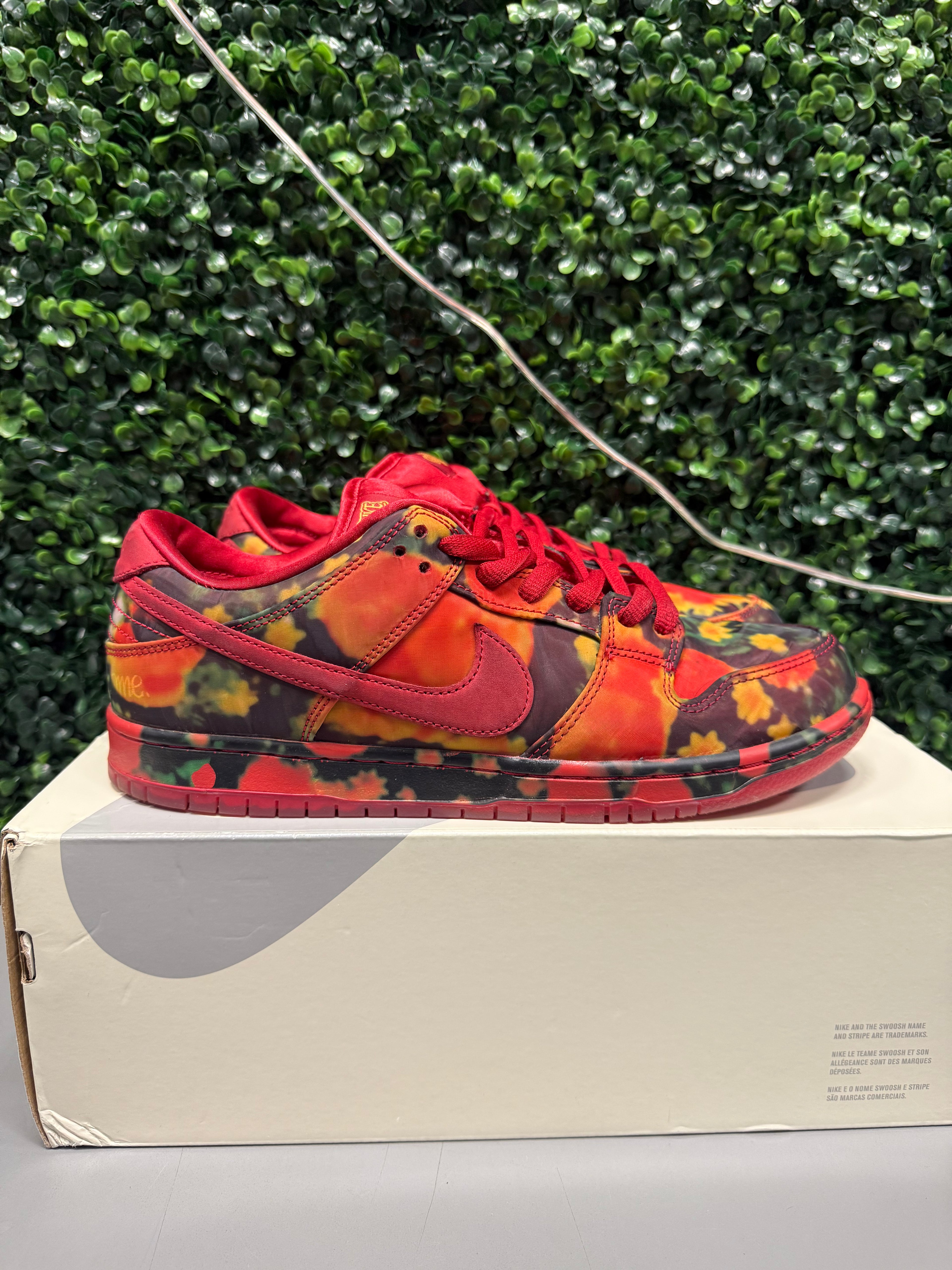 Nike SB Dunk Low "Wizard Of Oz" Size 10.5 Preowned