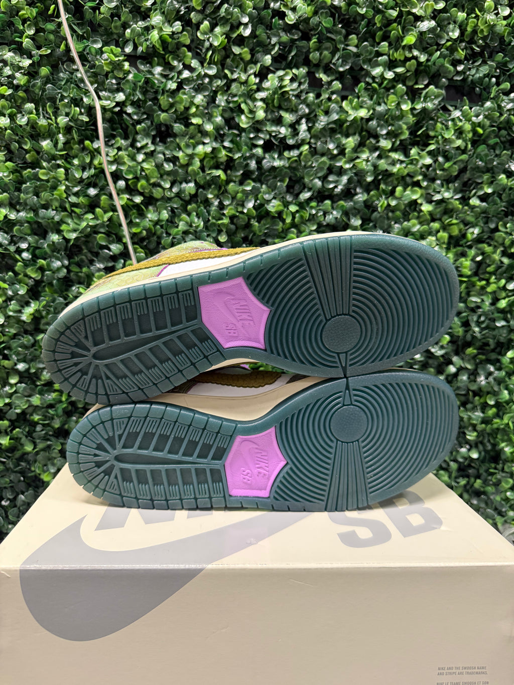 Nike SB Dunk Low "Chameleon" Size 13 Preowned