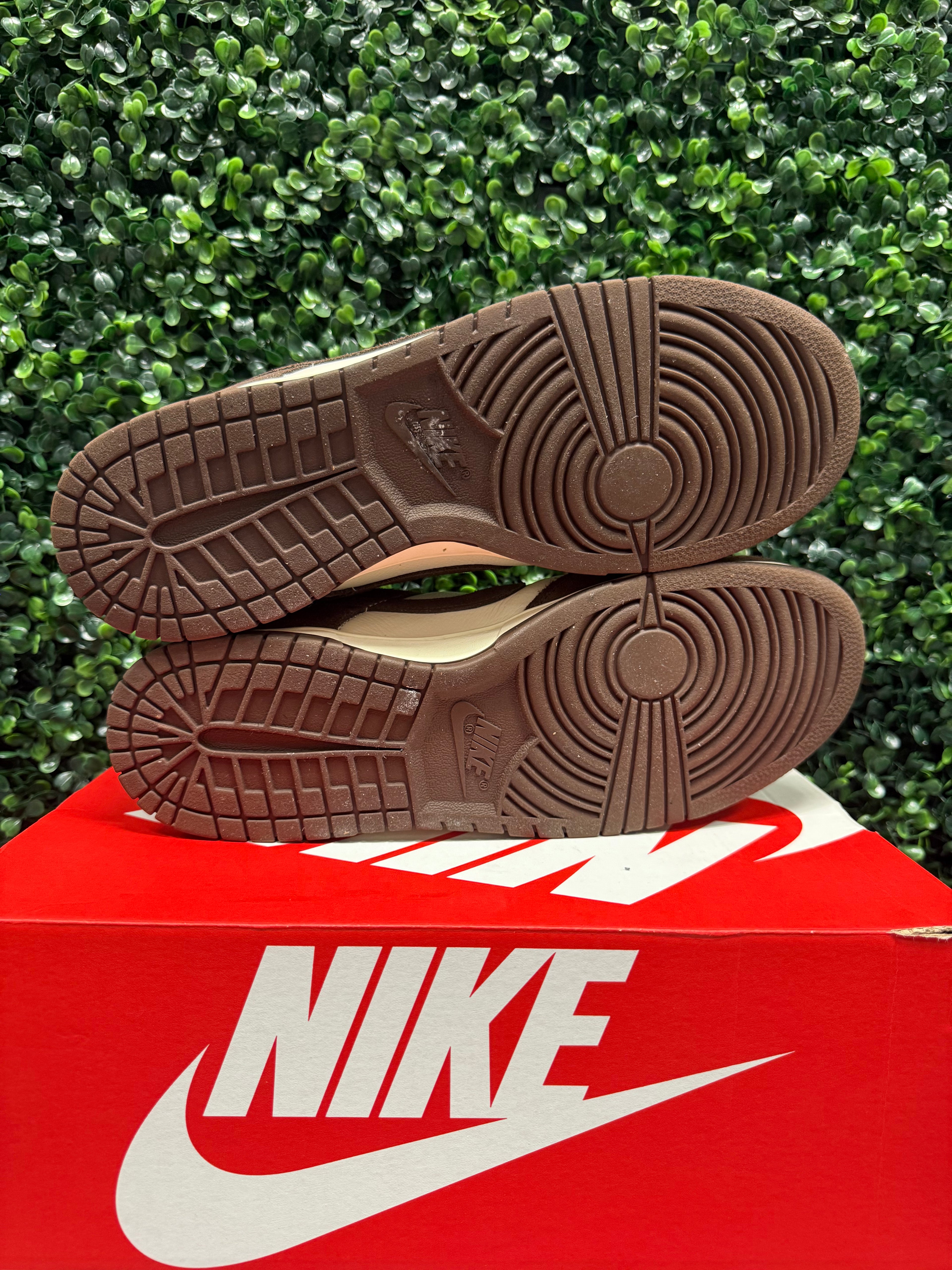 Nike Dunk Low "Ivory Baroque Brown" Size 12 Preowned
