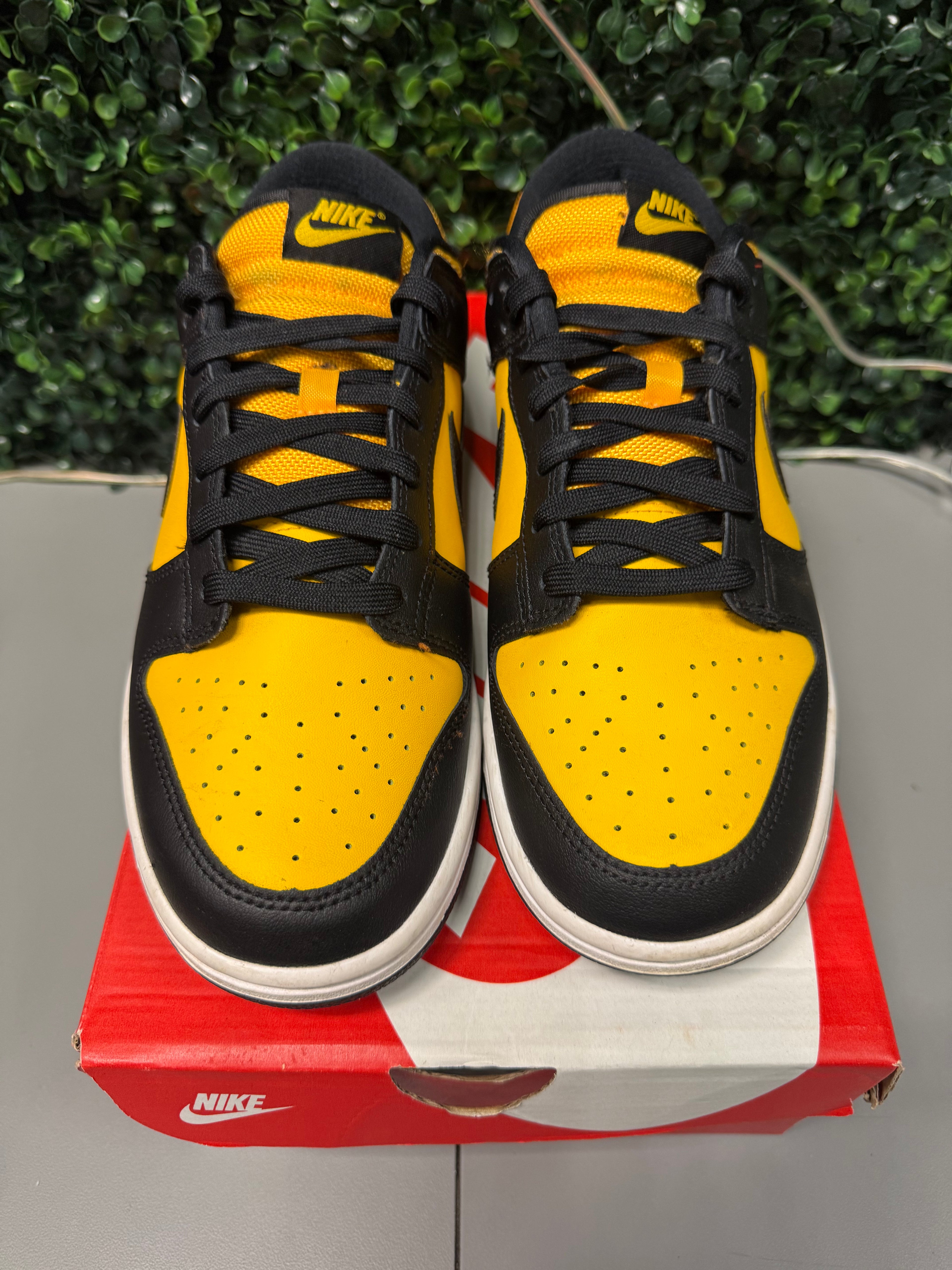 Nike Dunk Low "Reverse Goldenrod" Size 9 Preowned