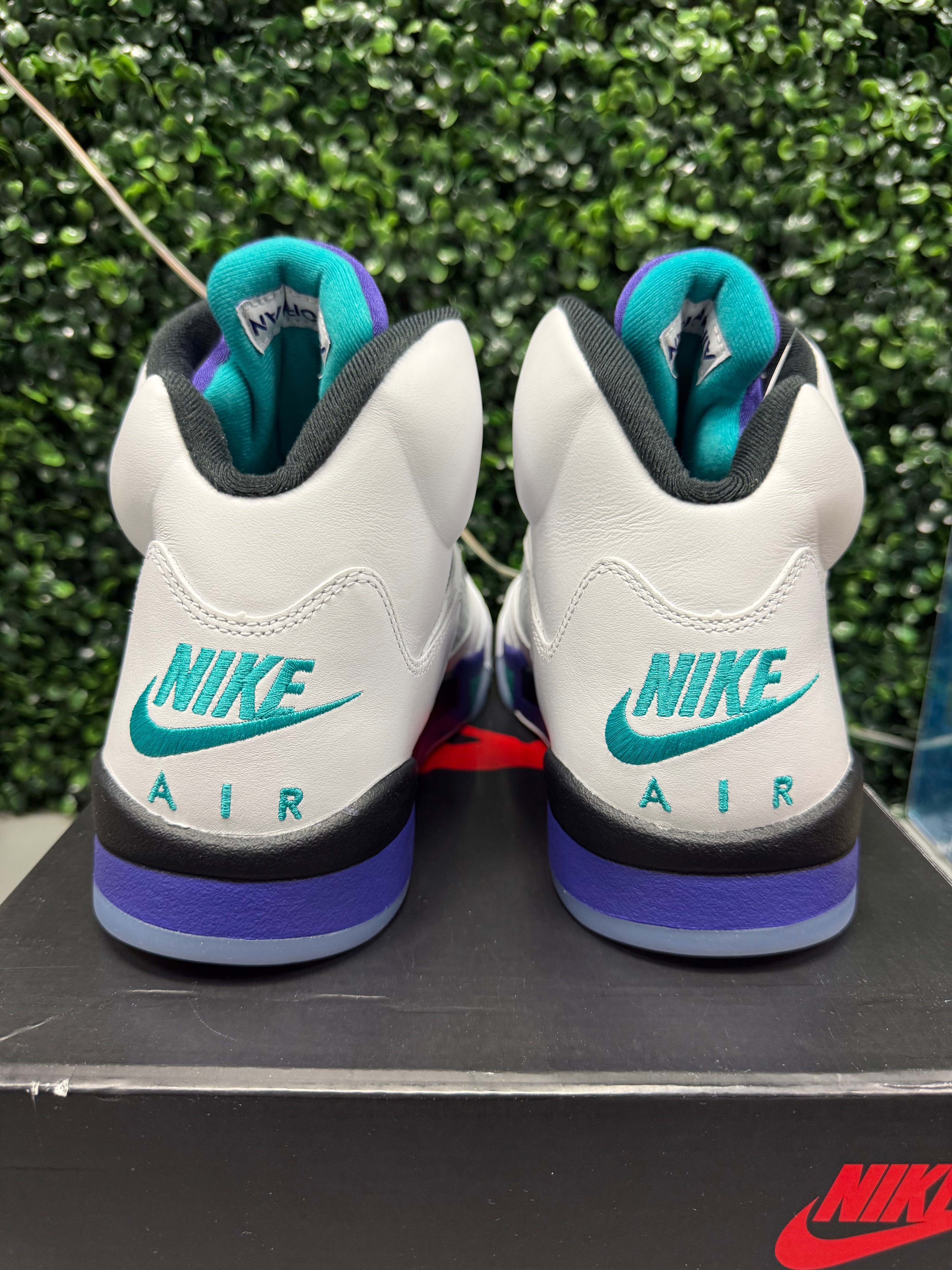 Jordan 5 "Grape" Size 13 Tried On