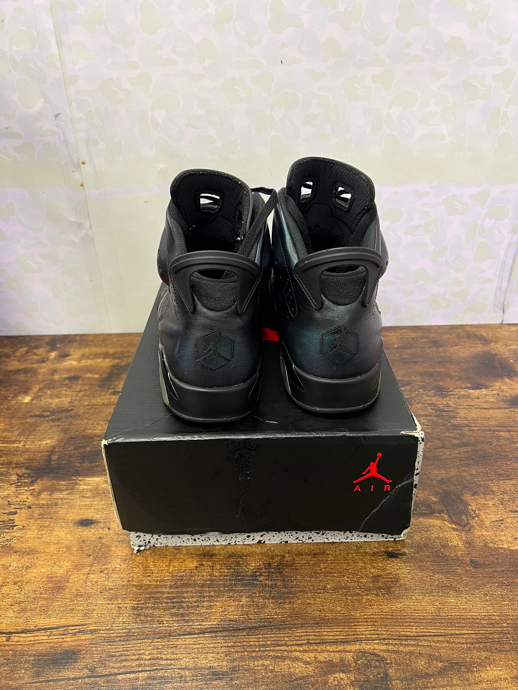 Jordan 6 “All-Star Chameleon” Size 11 Preowned