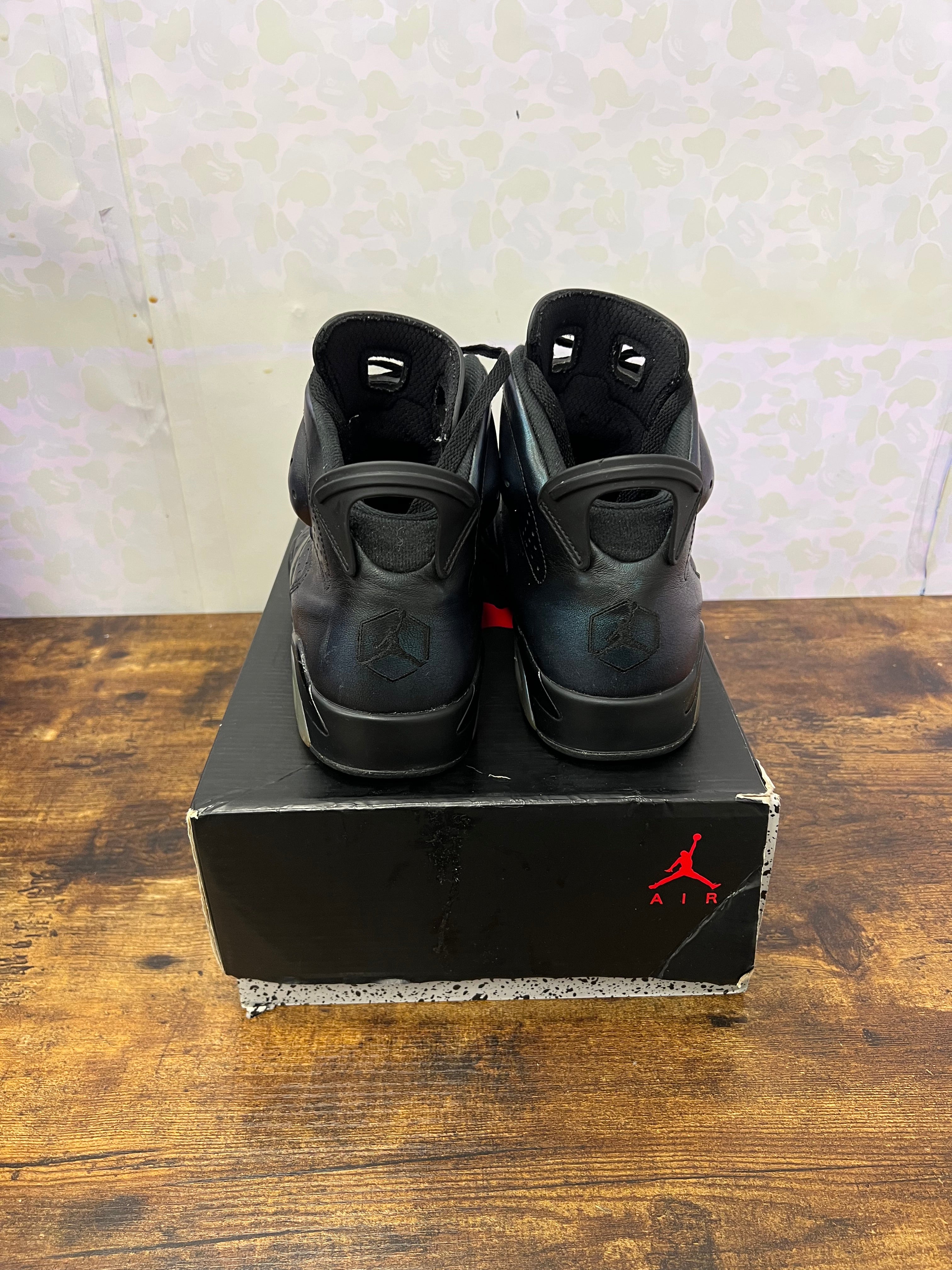 Jordan 6 “All-Star Chameleon” Size 11 Preowned