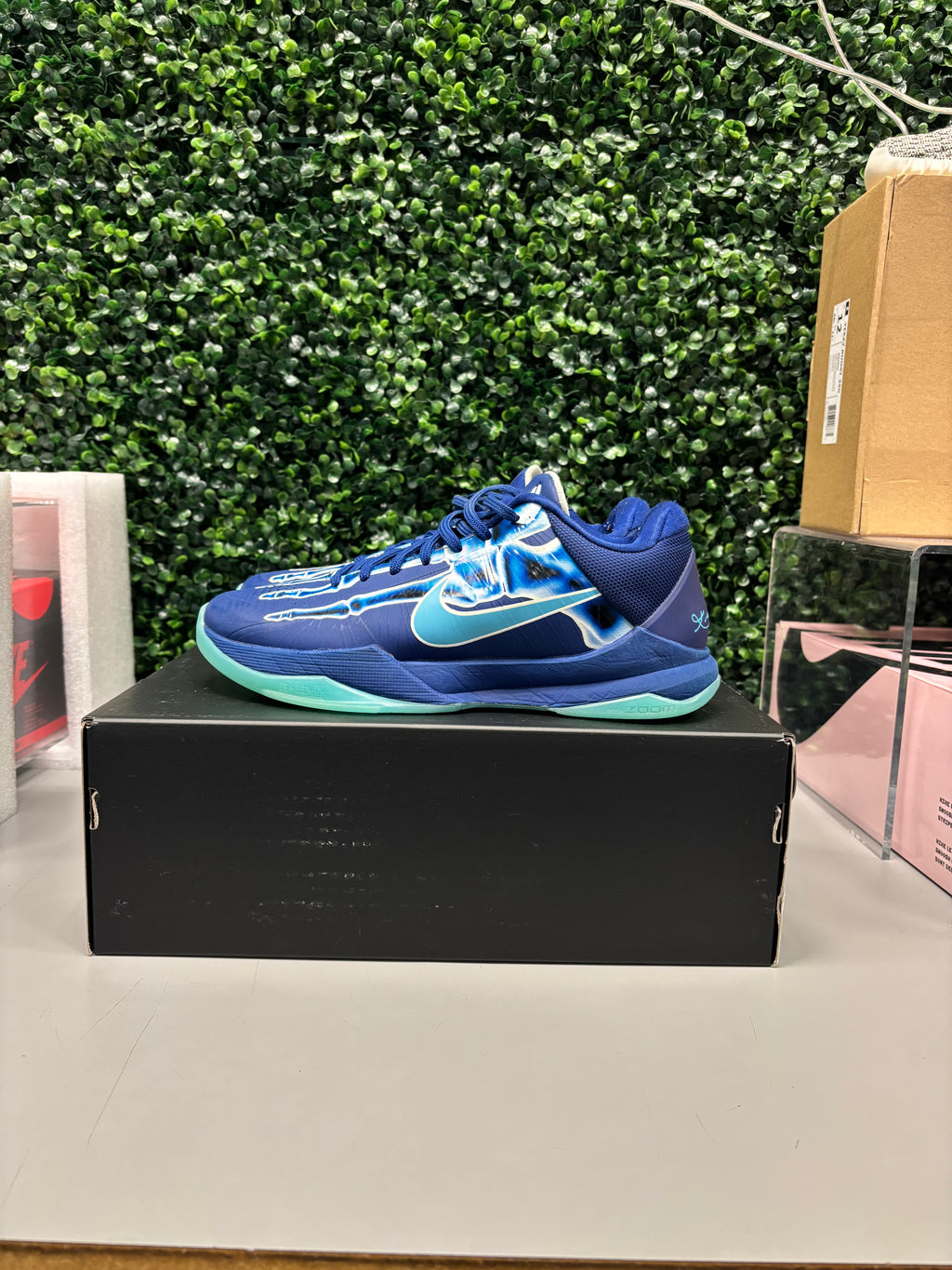 Nike Kobe 5 Protro "X-Ray" Size 7.5 Preowned