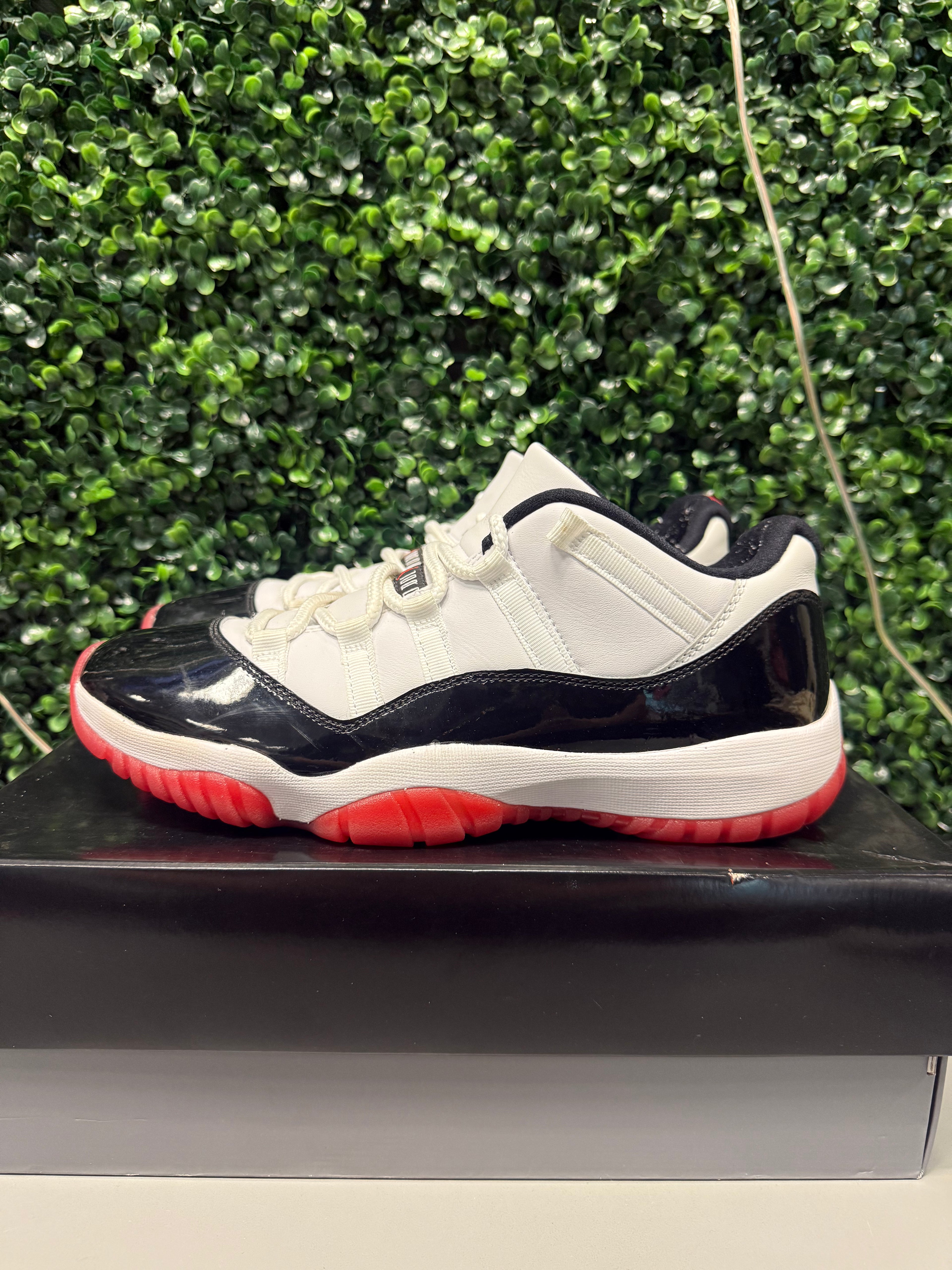Jordan 11 Low "Concord Bred" Size 10 Preowned