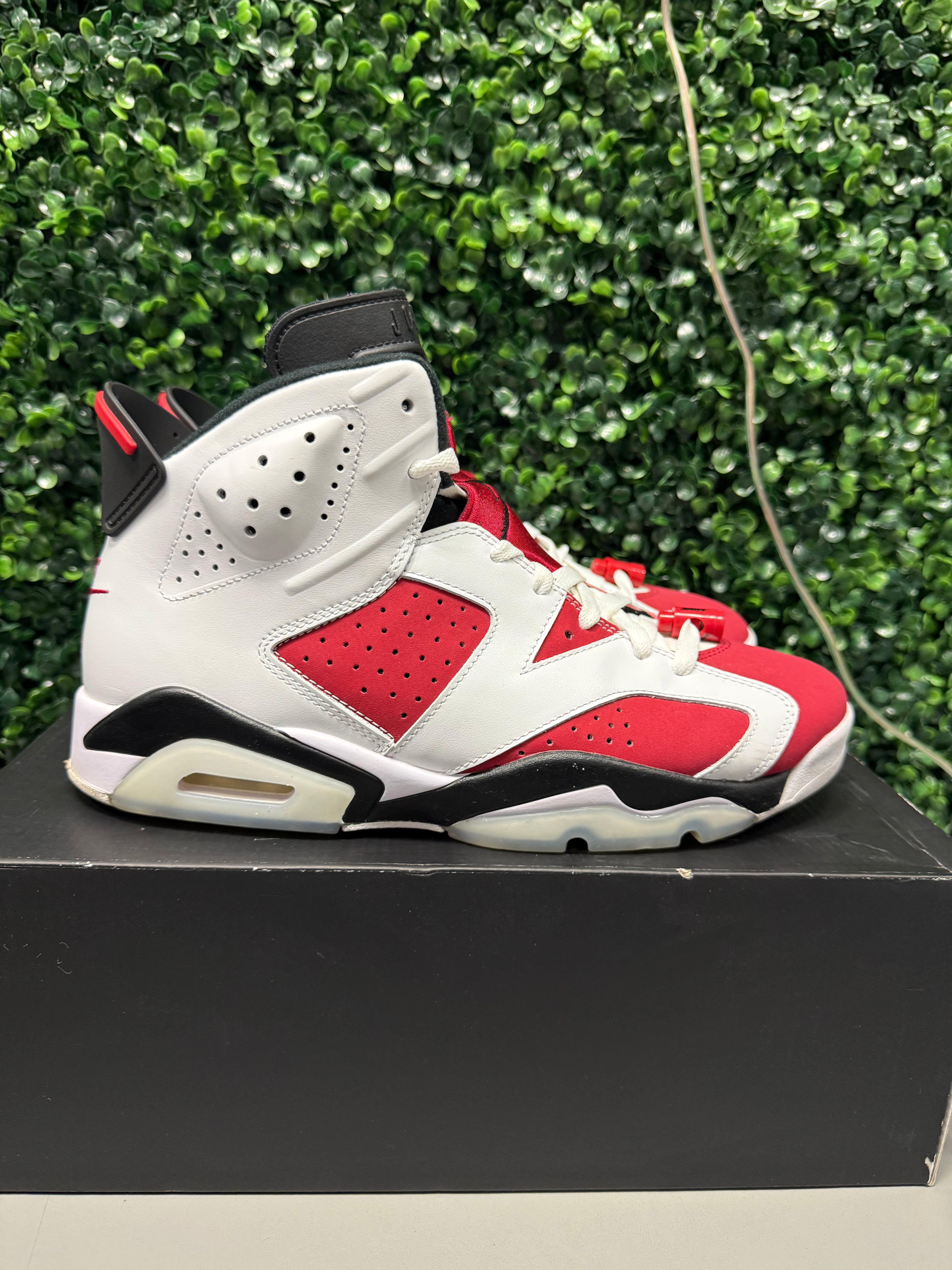 Jordan 6 "Carmine" Size 10 Preowned