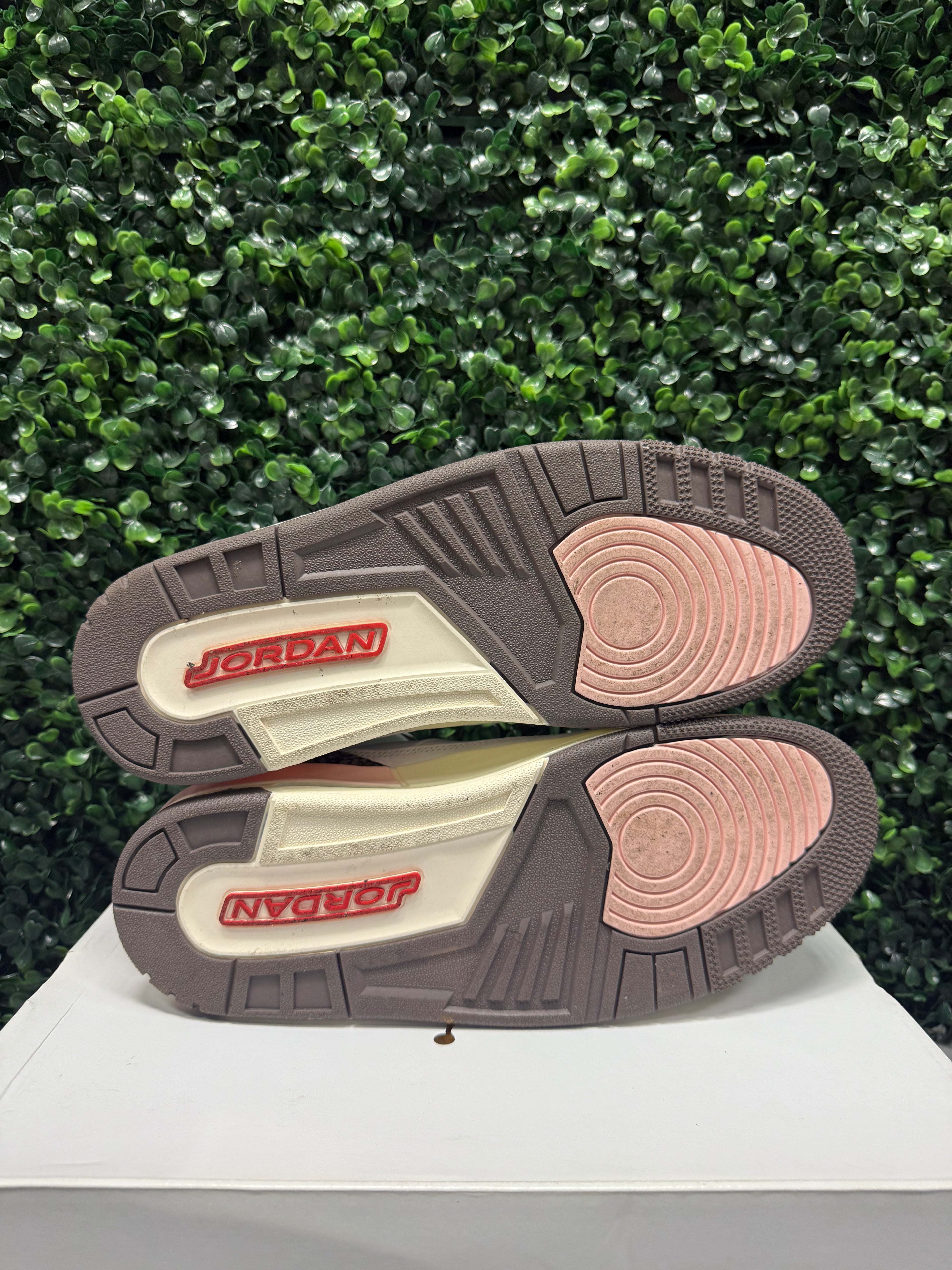 Jordan 3 "Neapolitan" Size 12W / 10.5M Preowned