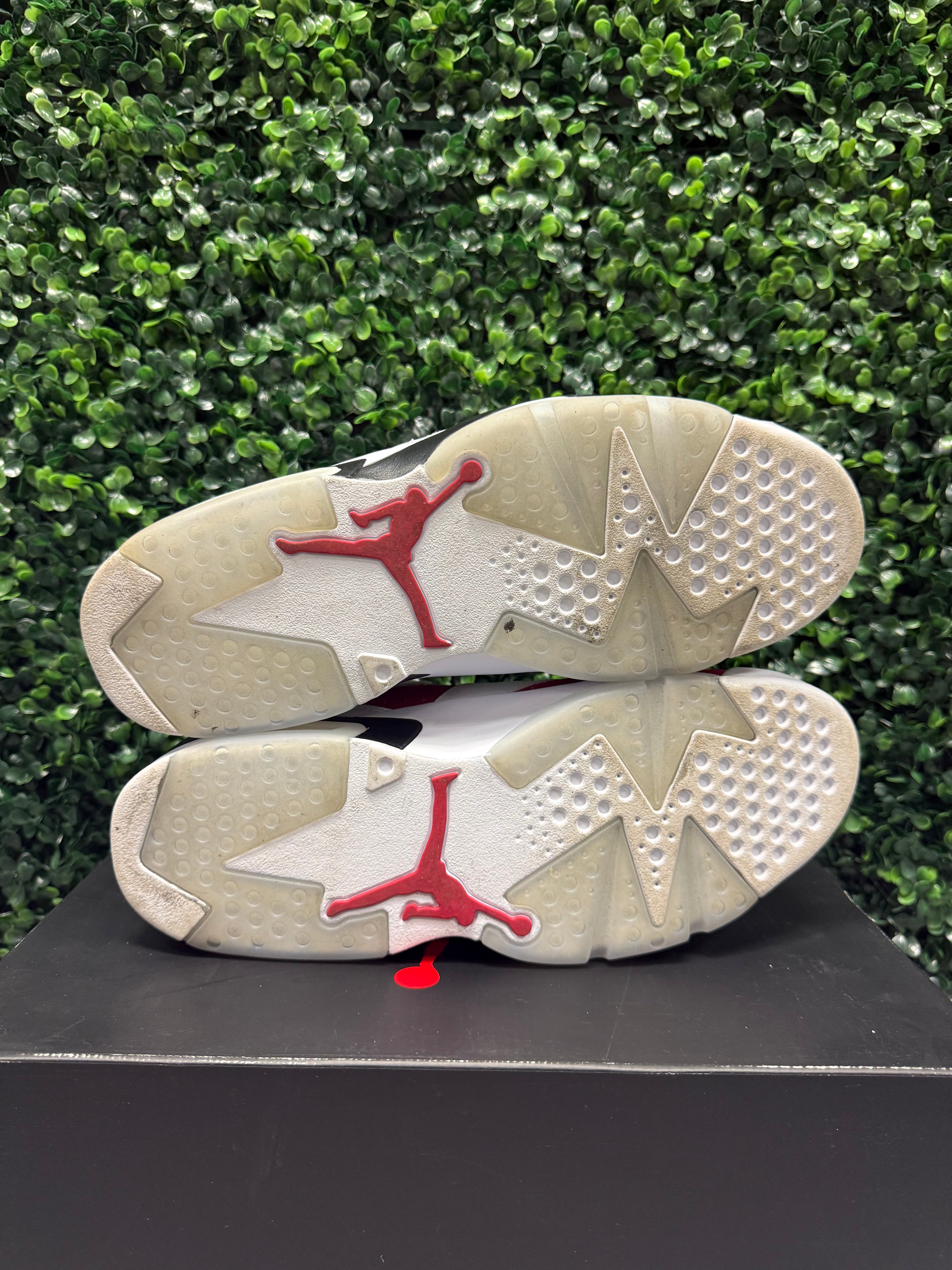 Jordan 6 "Carmine" Size 10.5 Preowned