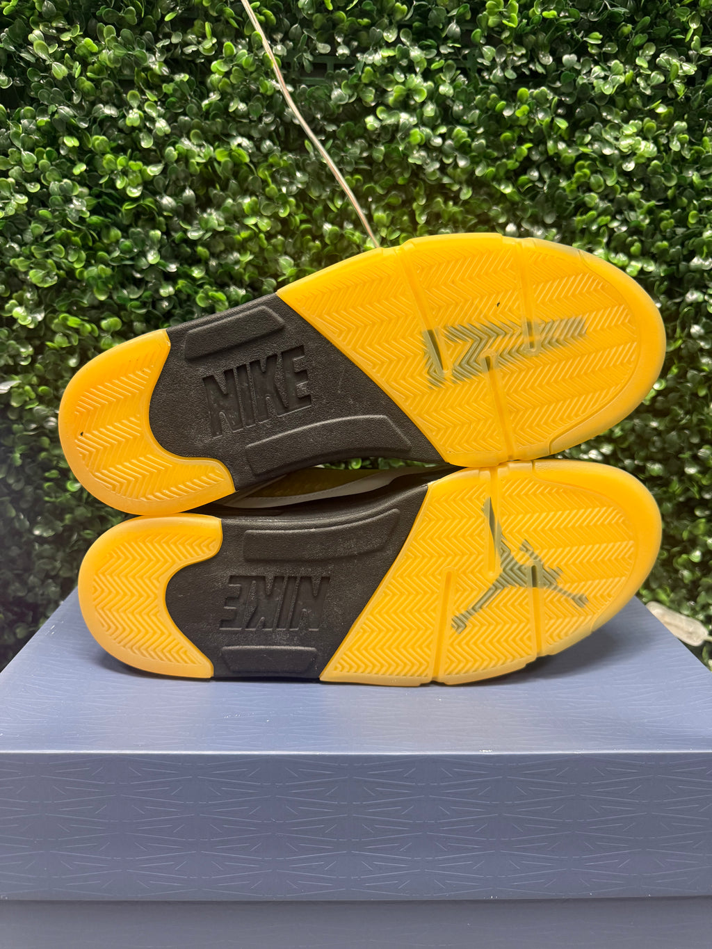 Jordan 5 X A Ma Maniere "Dawn" Size 14.5W / 13M Tried On