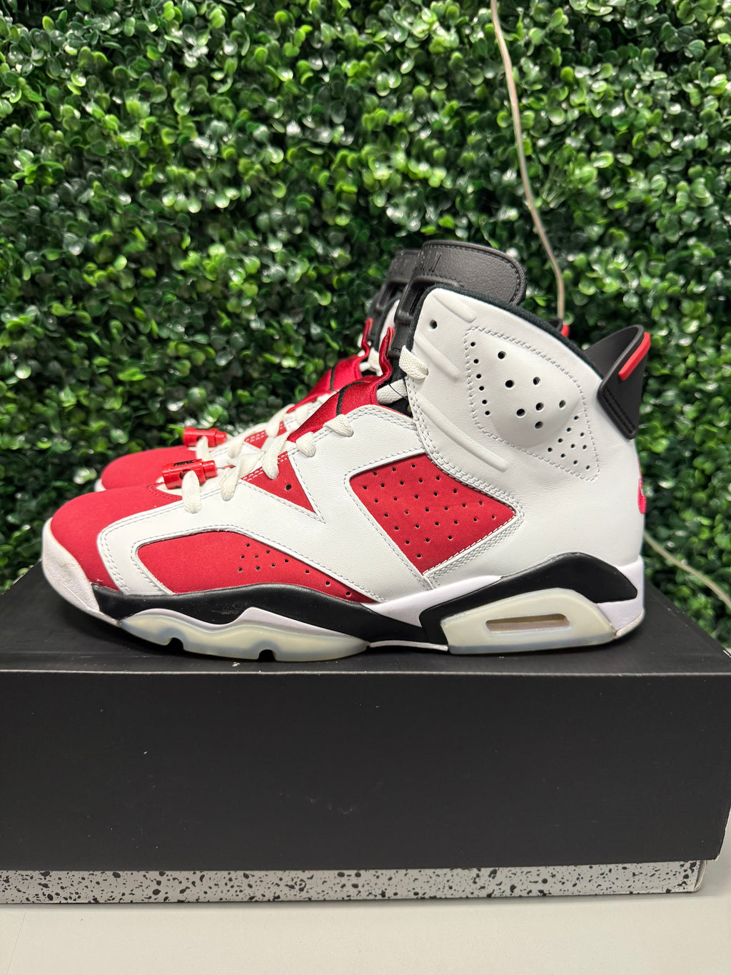 Jordan 6 "Carmine" Size 10 Preowned