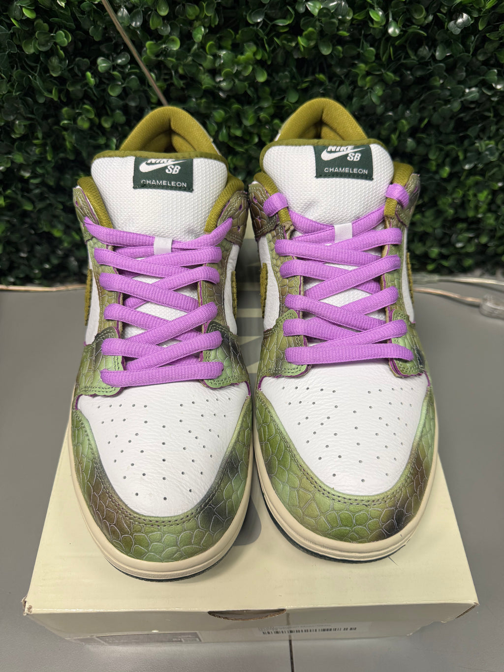 Nike SB Dunk Low "Chameleon" Size 13 Preowned