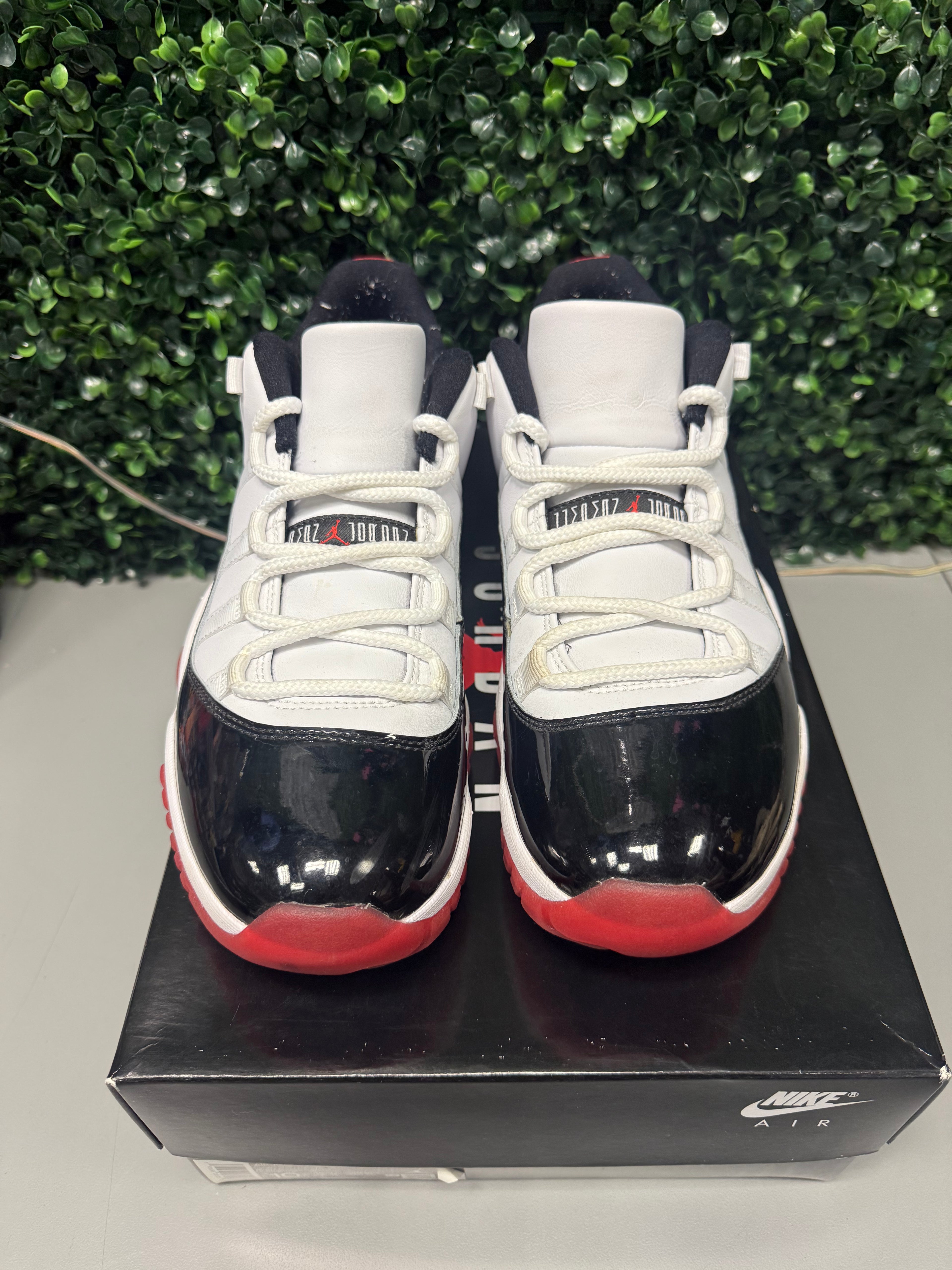 Jordan 11 Low "Concord Bred" Size 10 Preowned