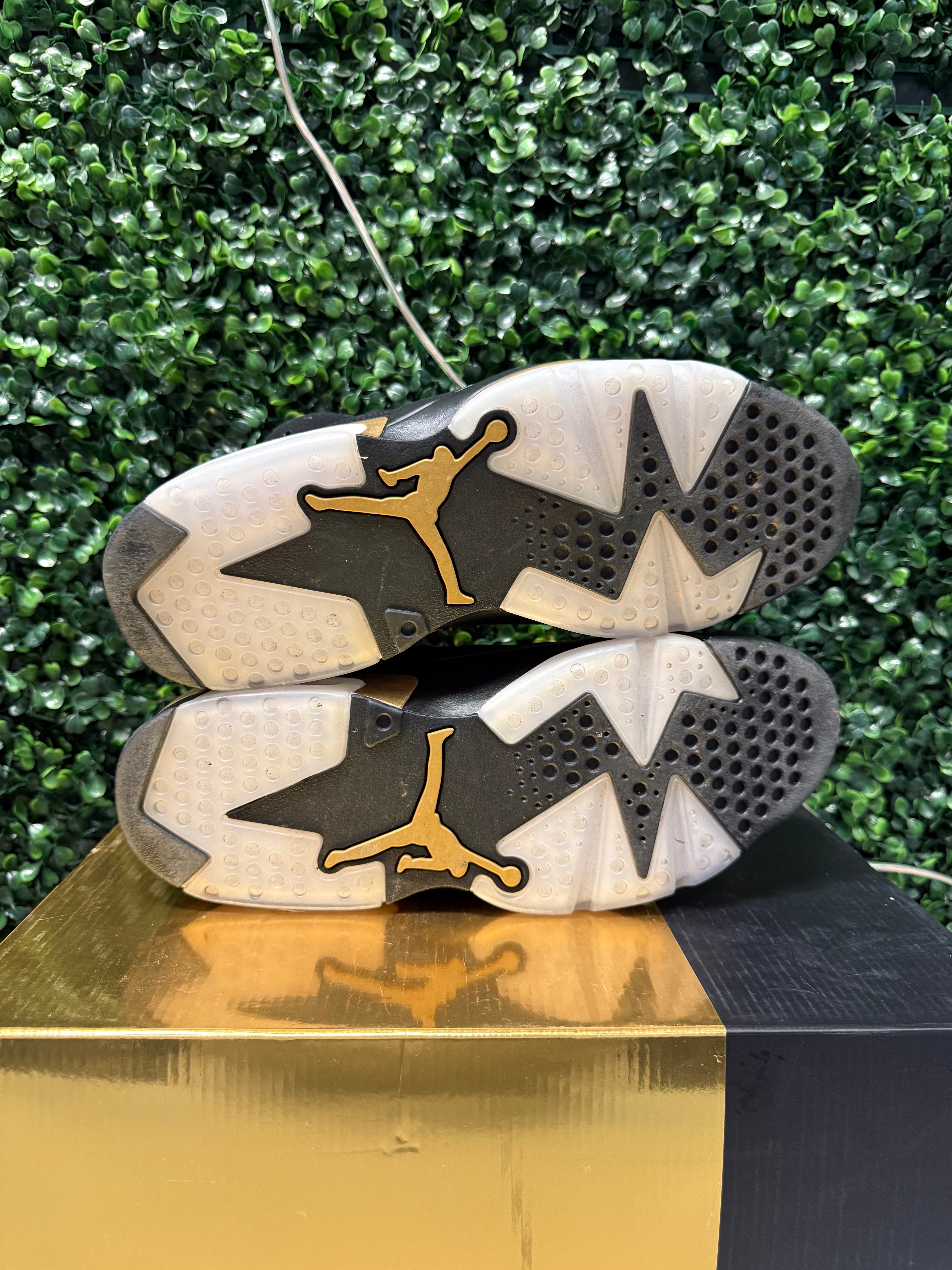 Jordan 6 "DMP 2020" Size 9.5 Preowned