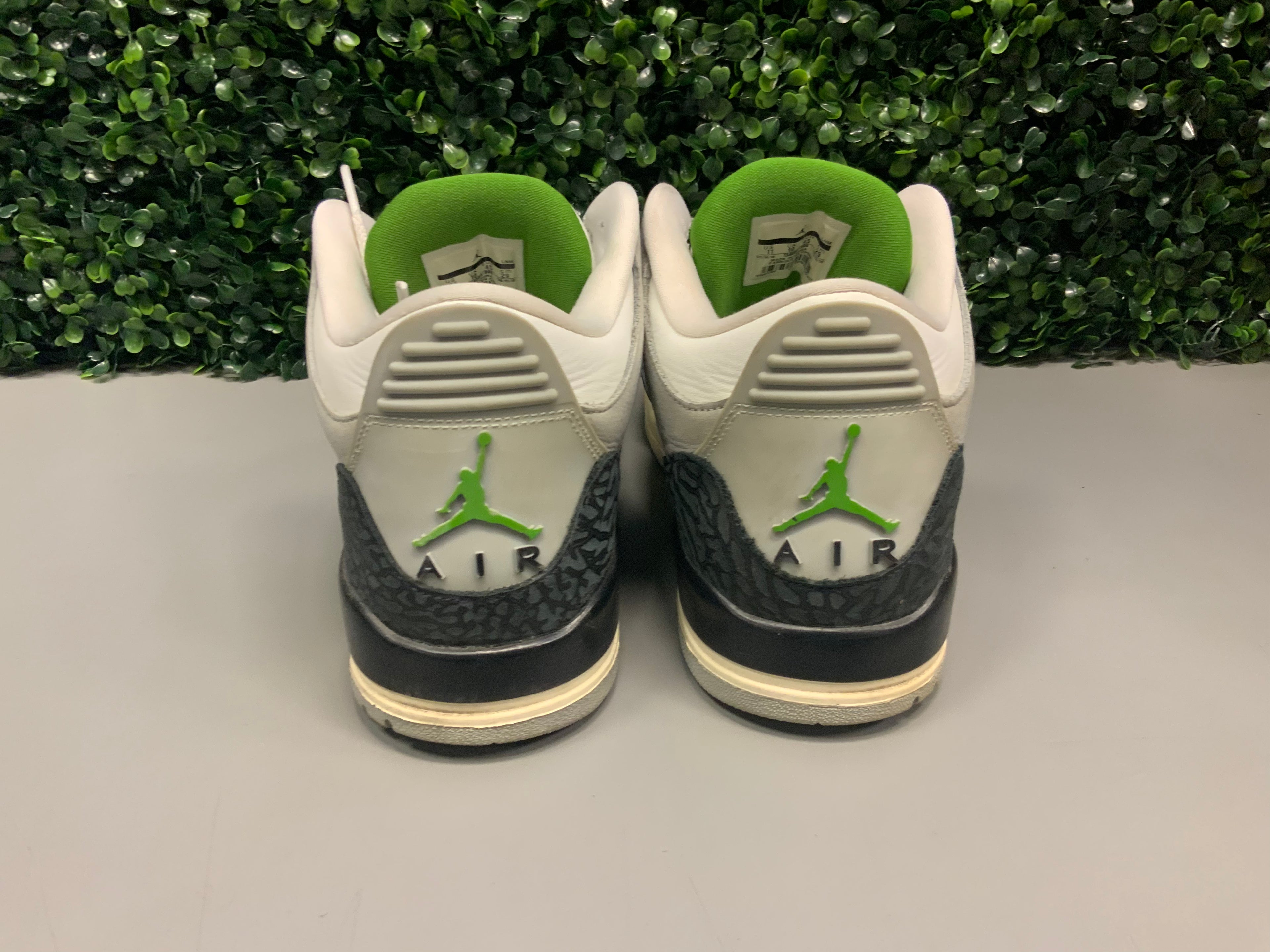 Jordan 3 "Chlorophyll" Size 11 Preowned