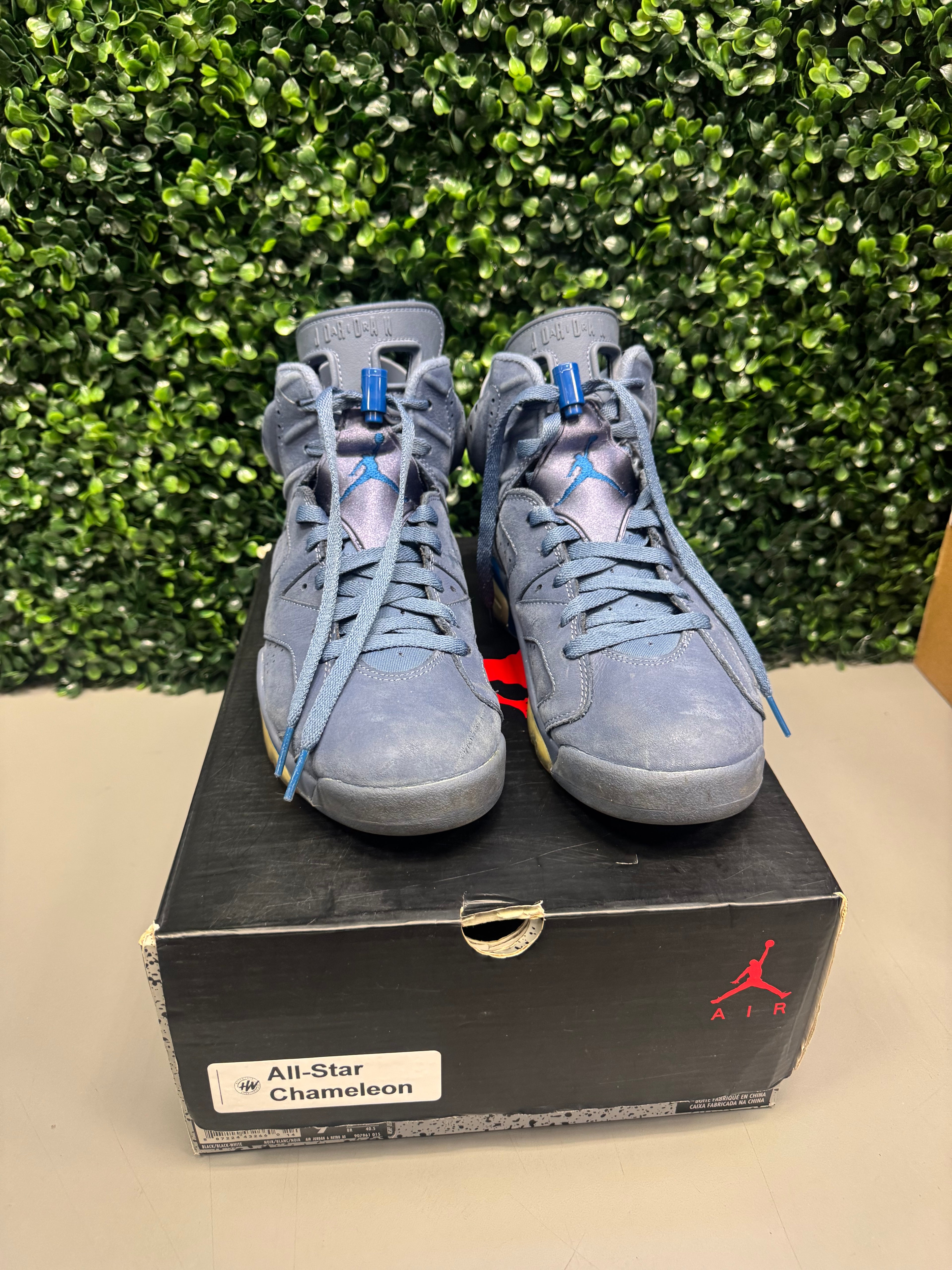 Jordan 6 "Diffused Blue" Size 9 Preowned