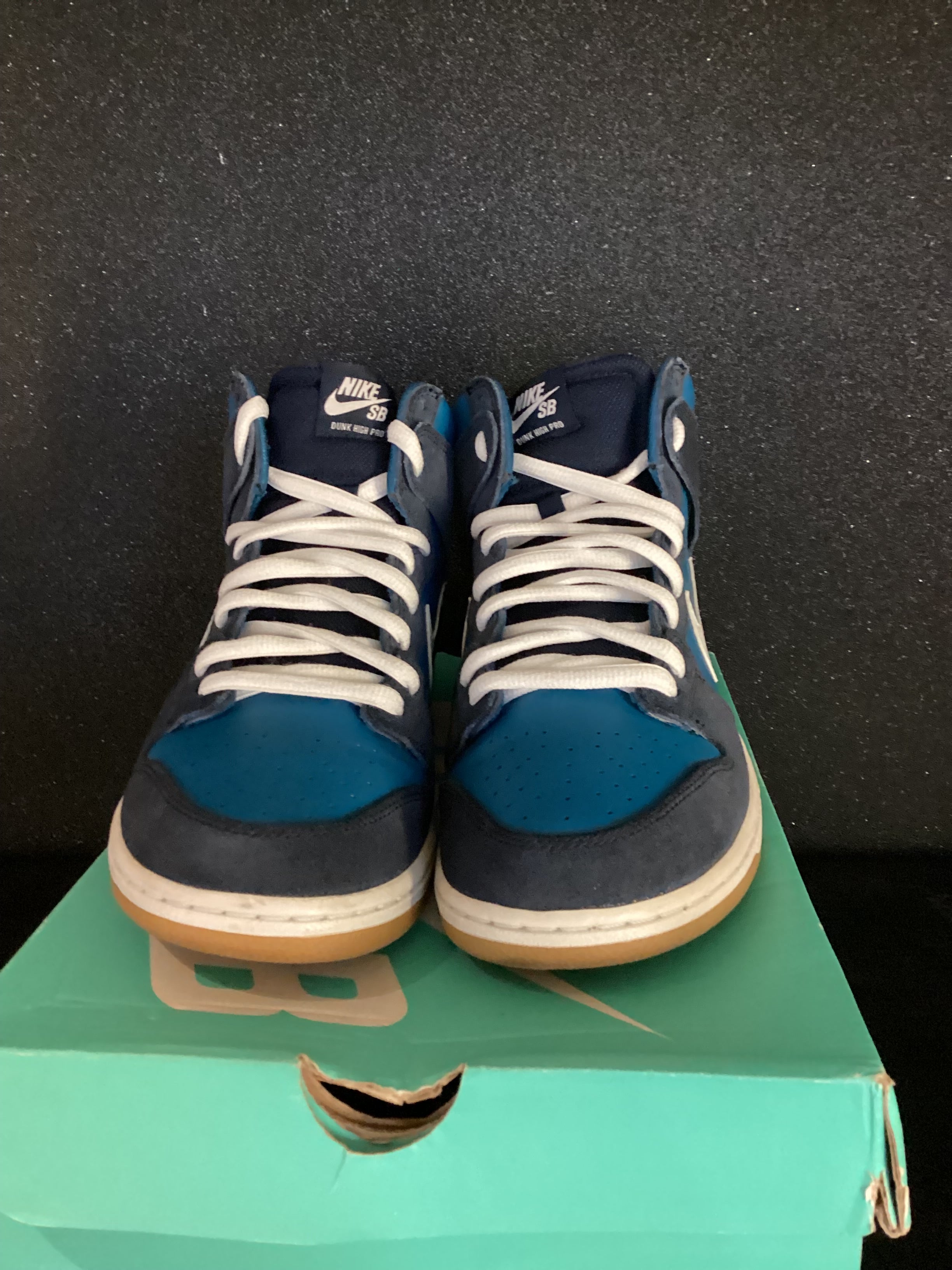 Nike SB Zoom Dunk High Pro Size 10 Preowned